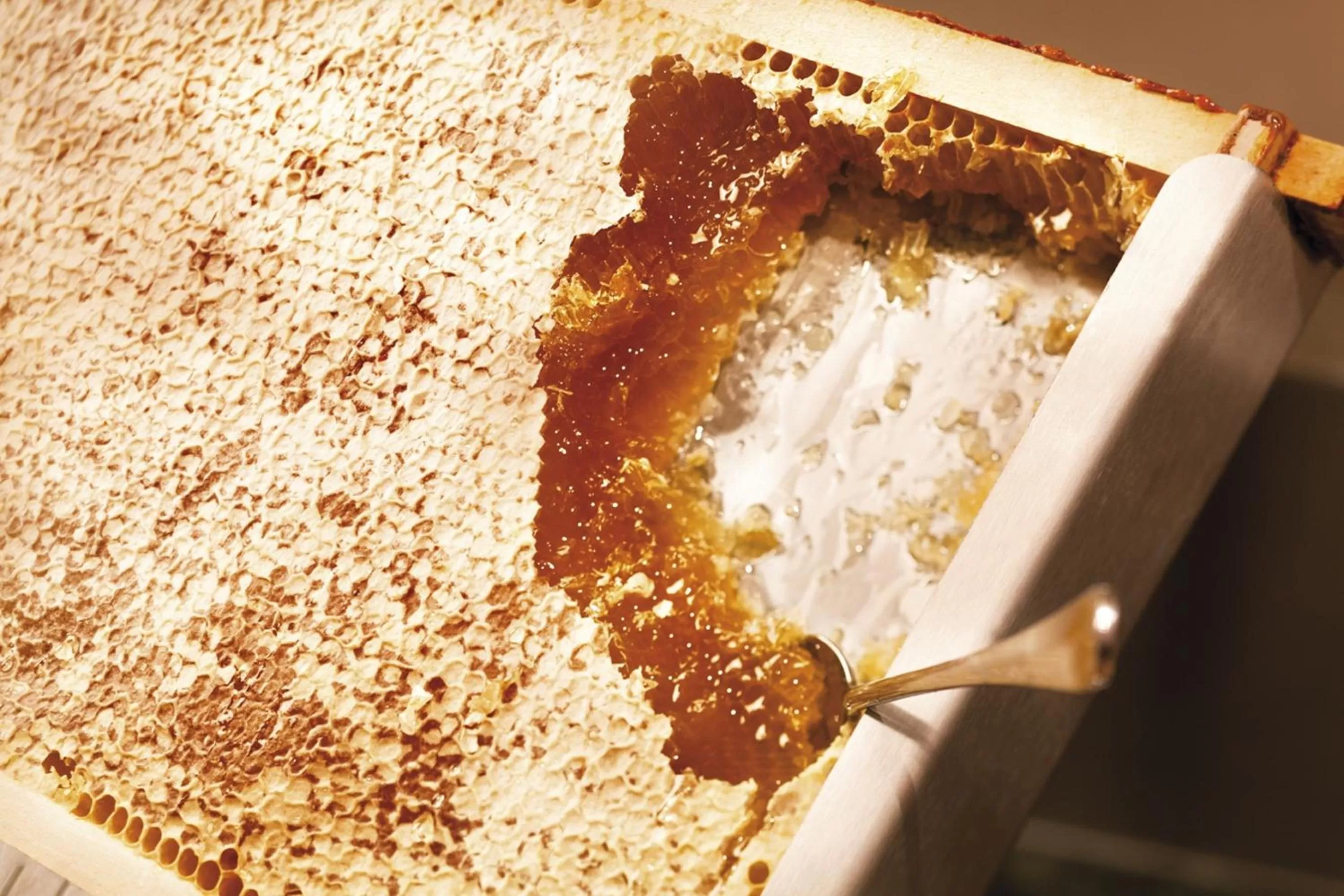 Restaurant/places to eat in Mövenpick Hotel München-Airport