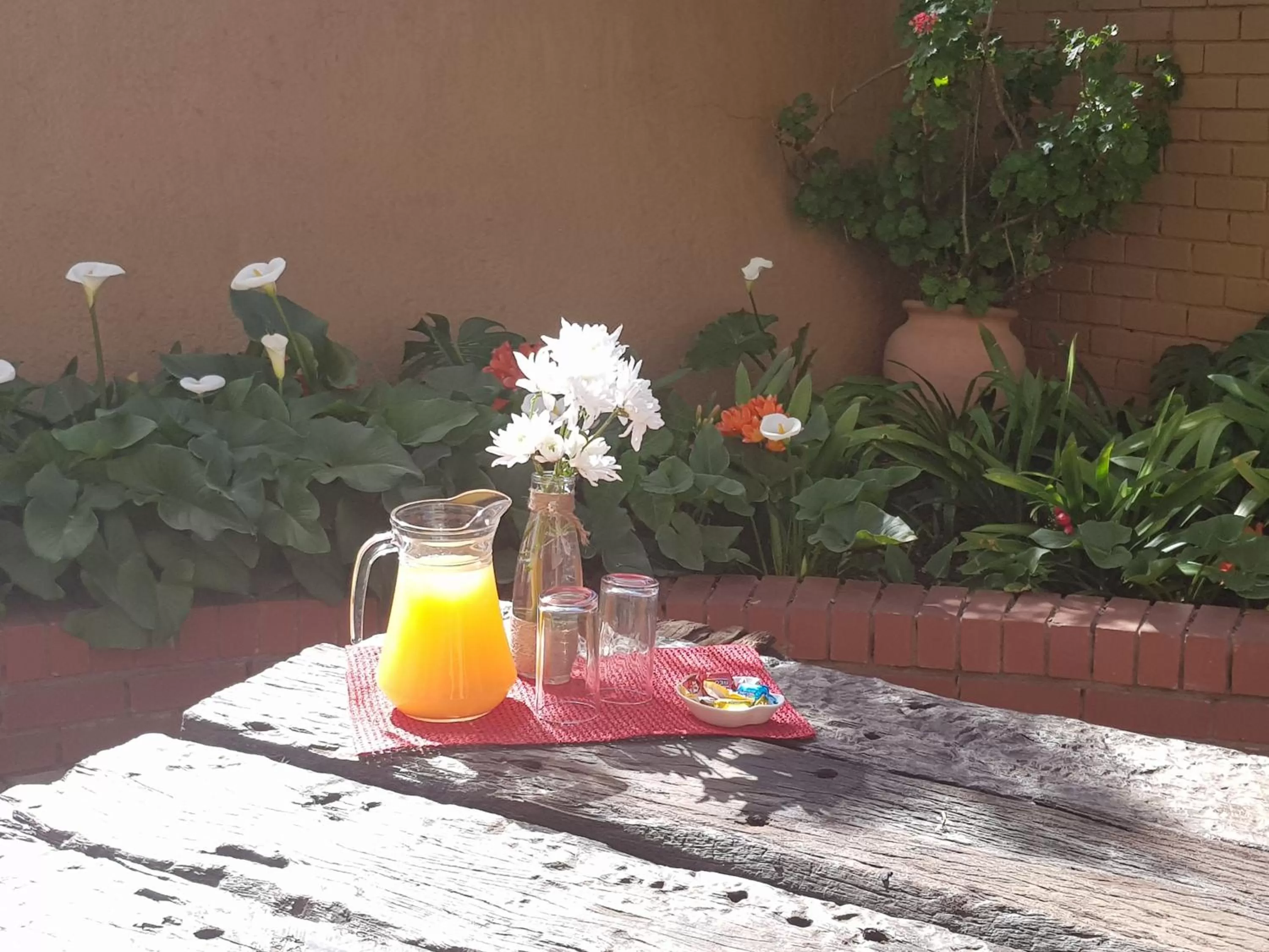 Patio, Drinks in The Leopard Tree