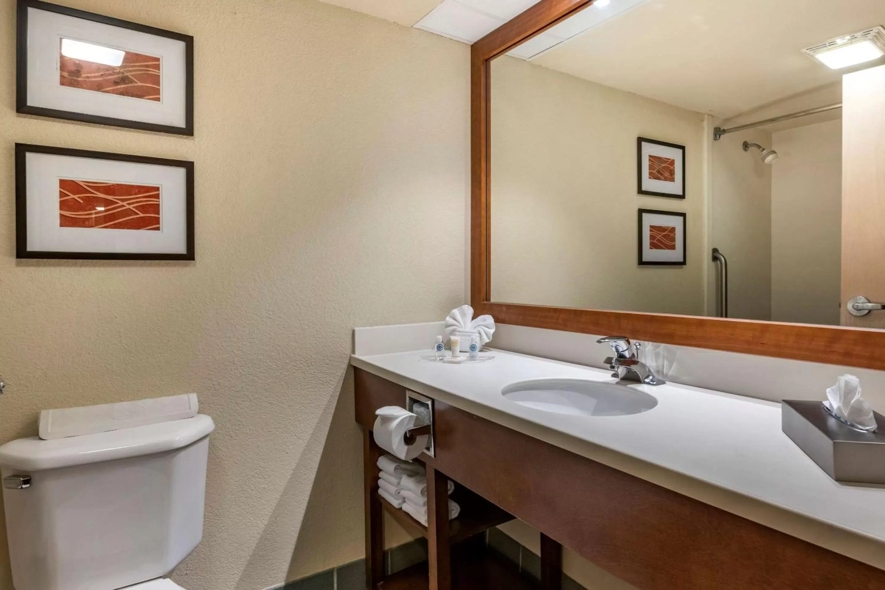 Bathroom in Comfort Suites Miami - Kendall