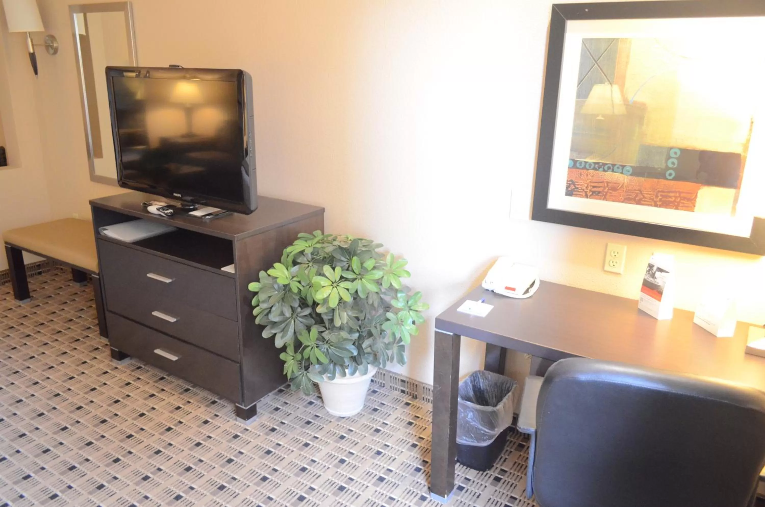 TV and multimedia in Aspen Grand Hotel Houston