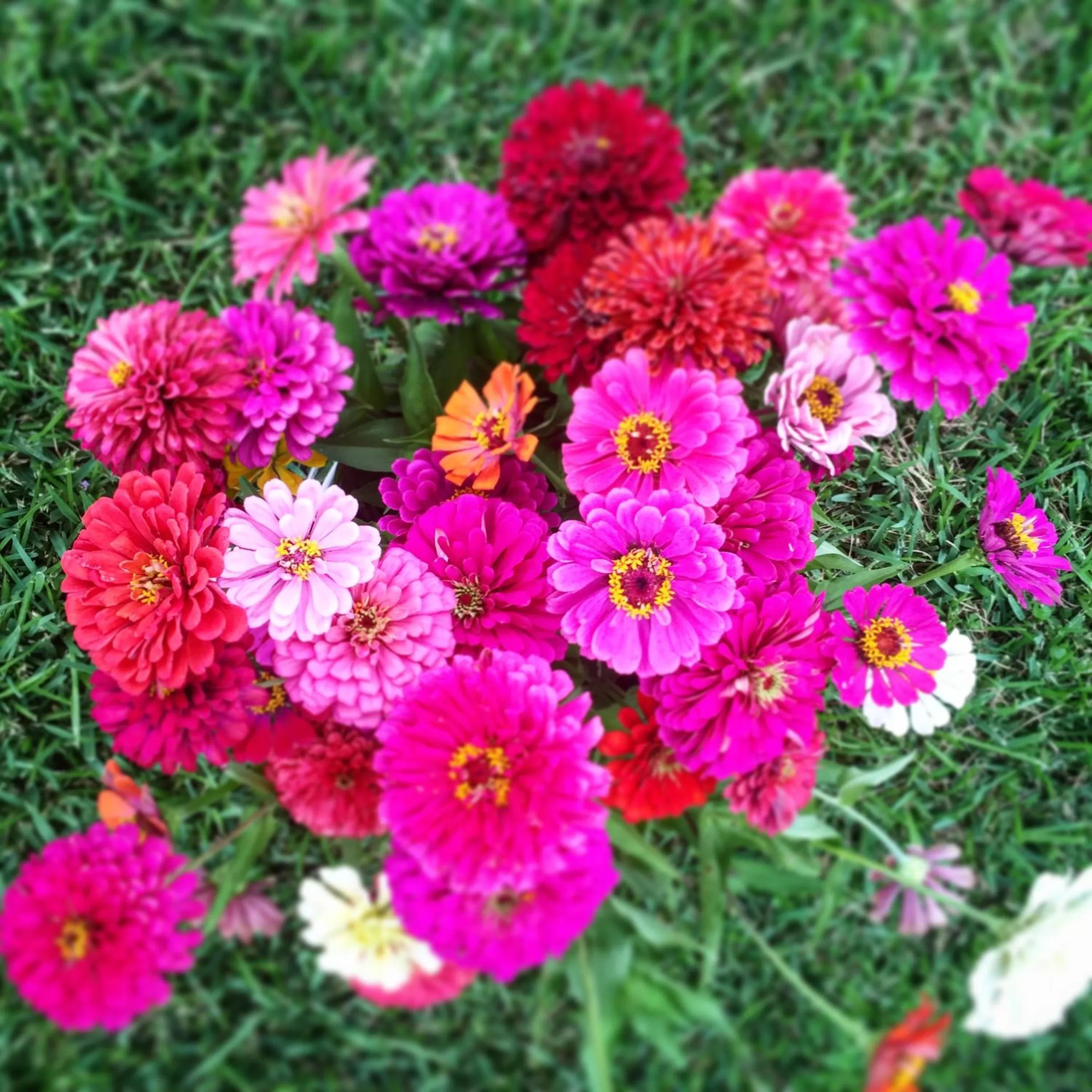 Spring in Inn at Indian Creek