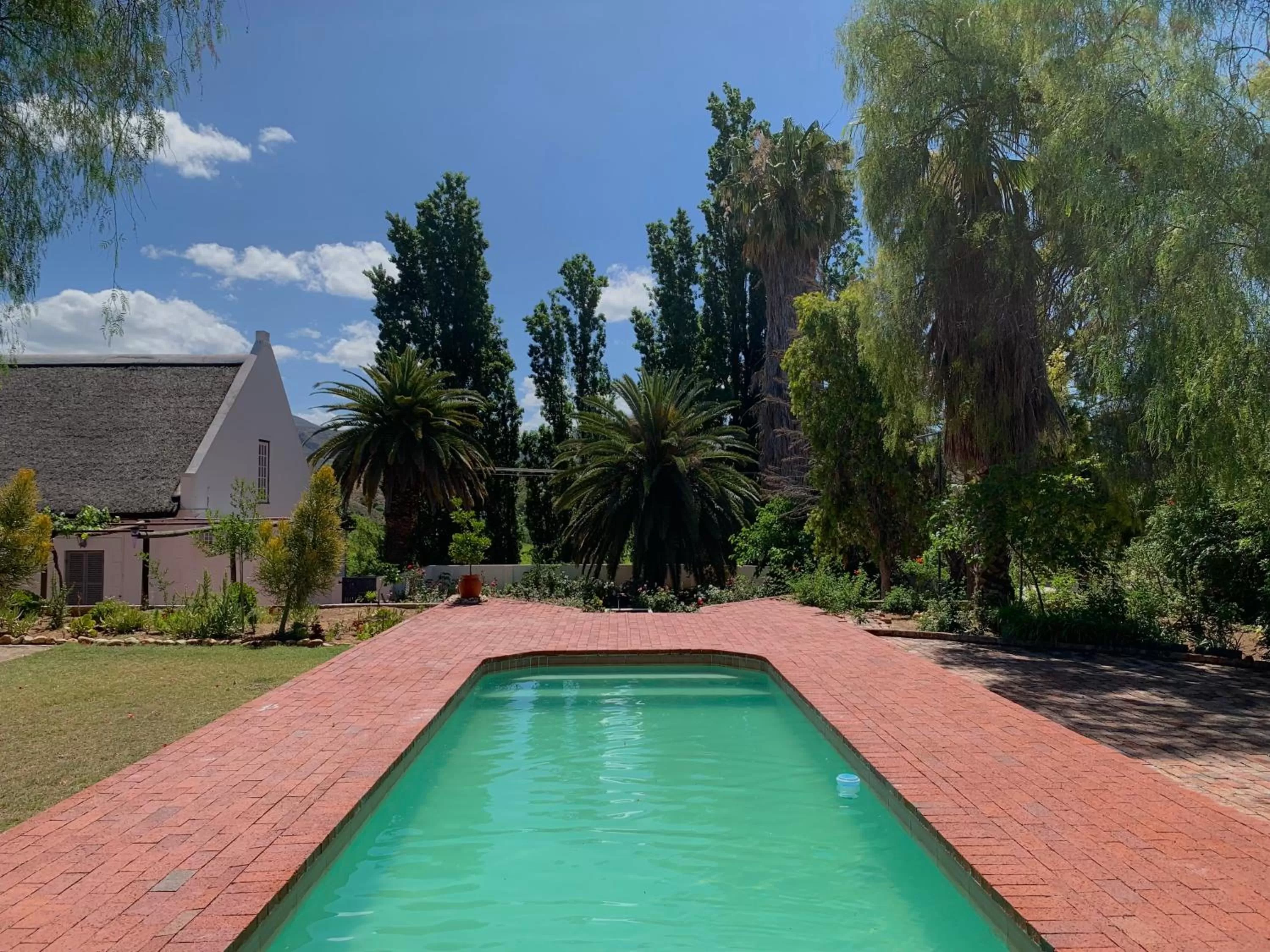 Swimming Pool in Port Wine Guesthouse