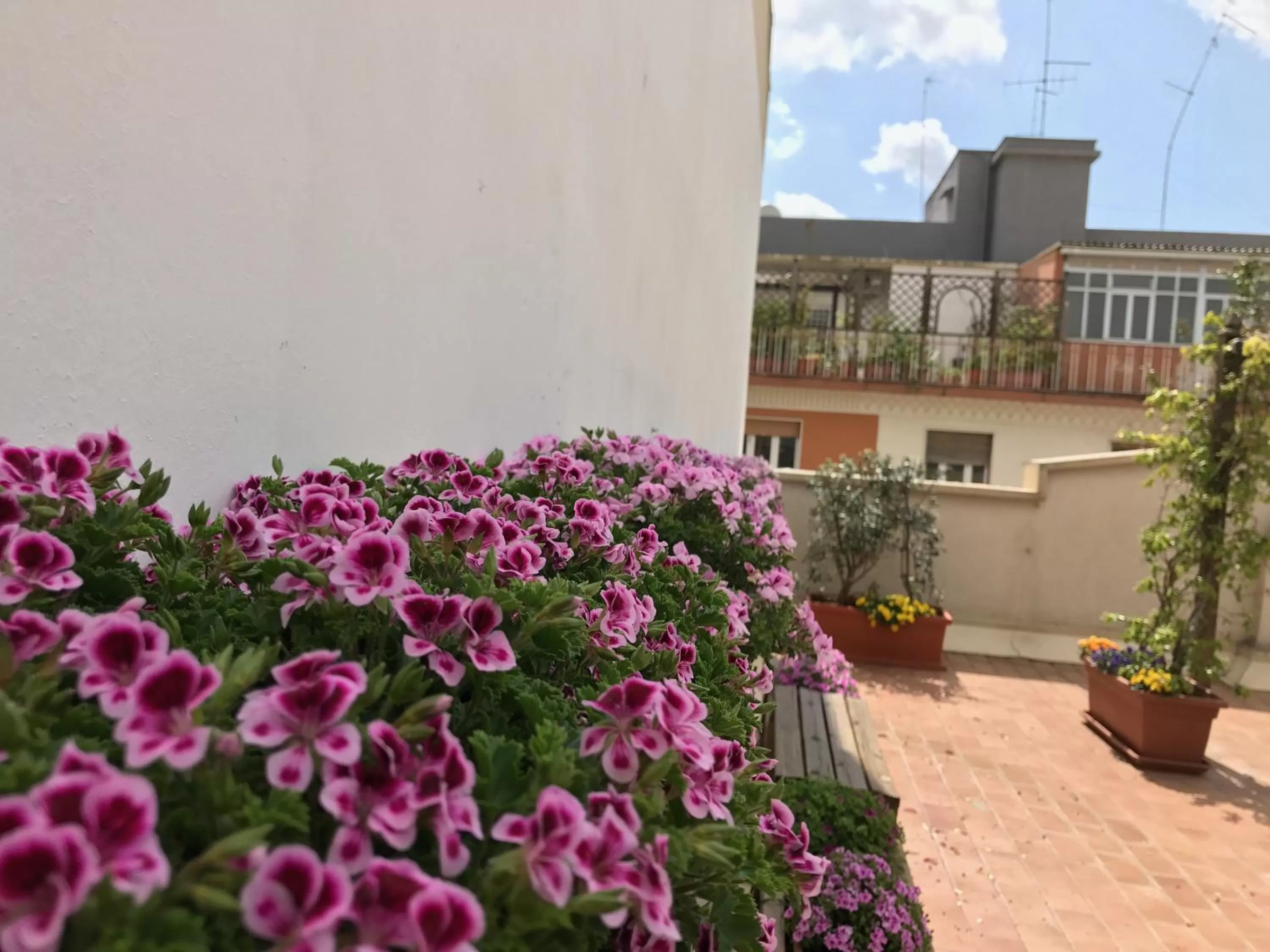 Balcony/Terrace in Visa Residence