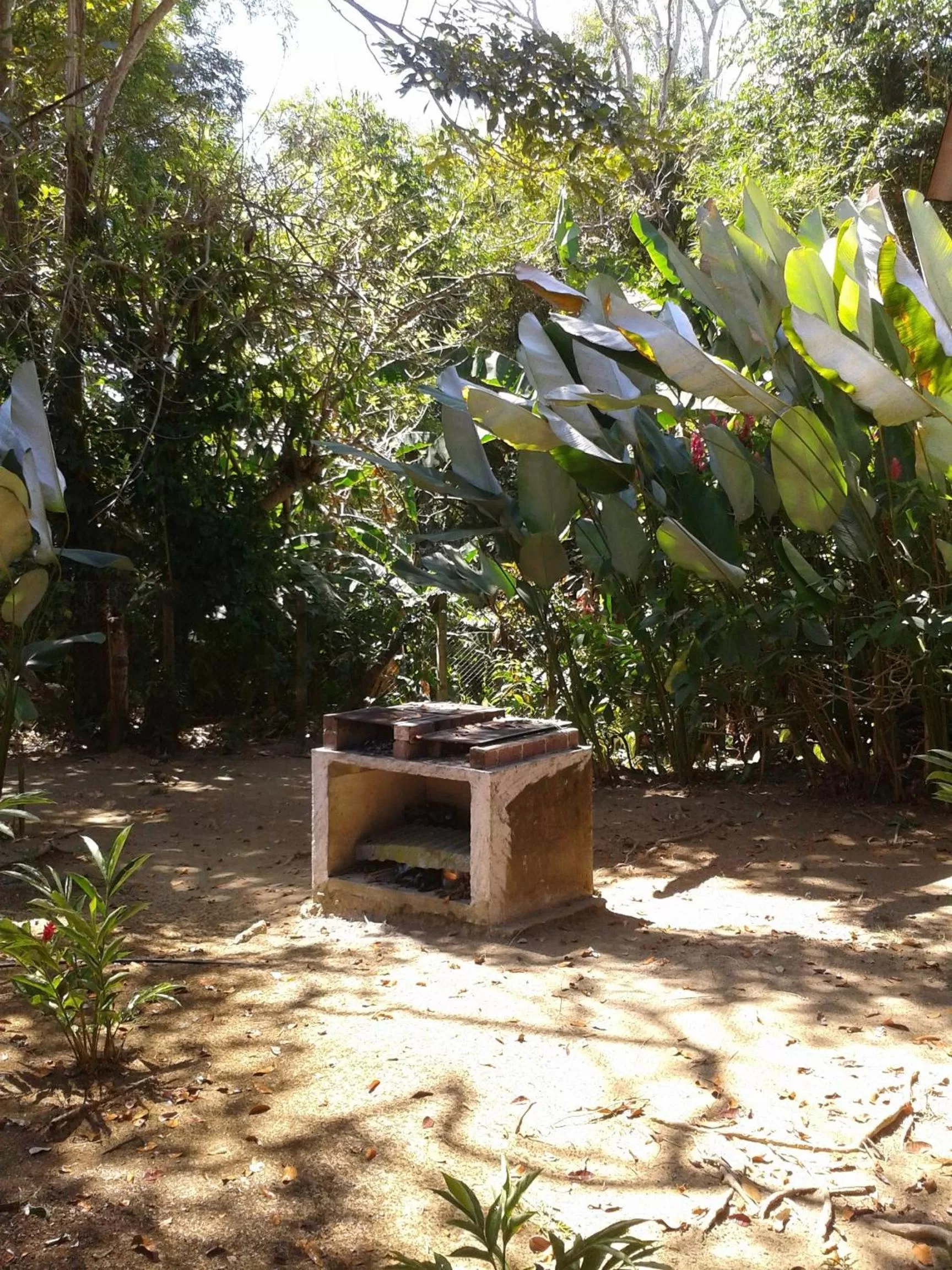 Garden in Hotel El Paraiso Escondido - Costa Rica