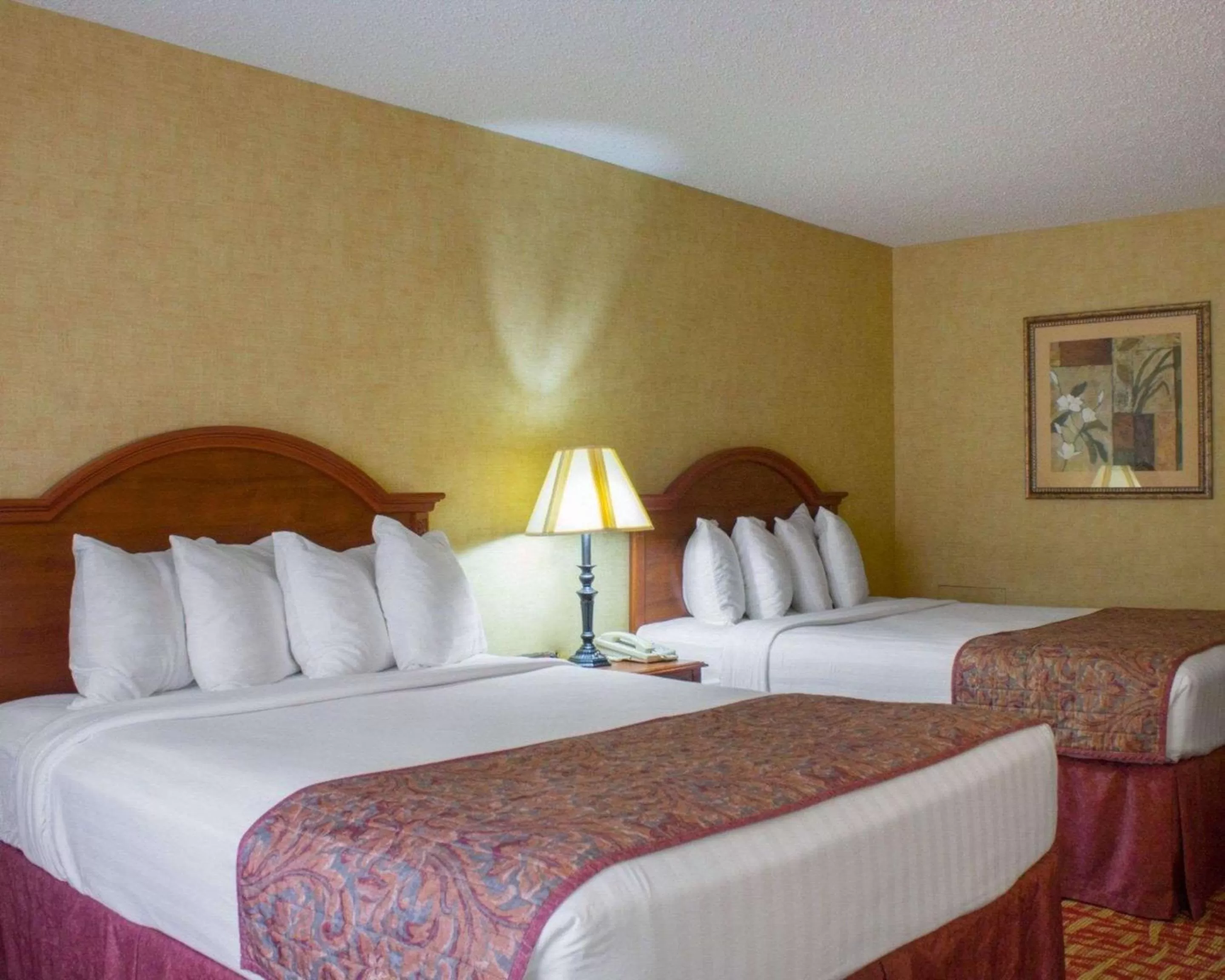 Photo of the whole room, Bed in Rodeway Inn Columbia Mall Loop