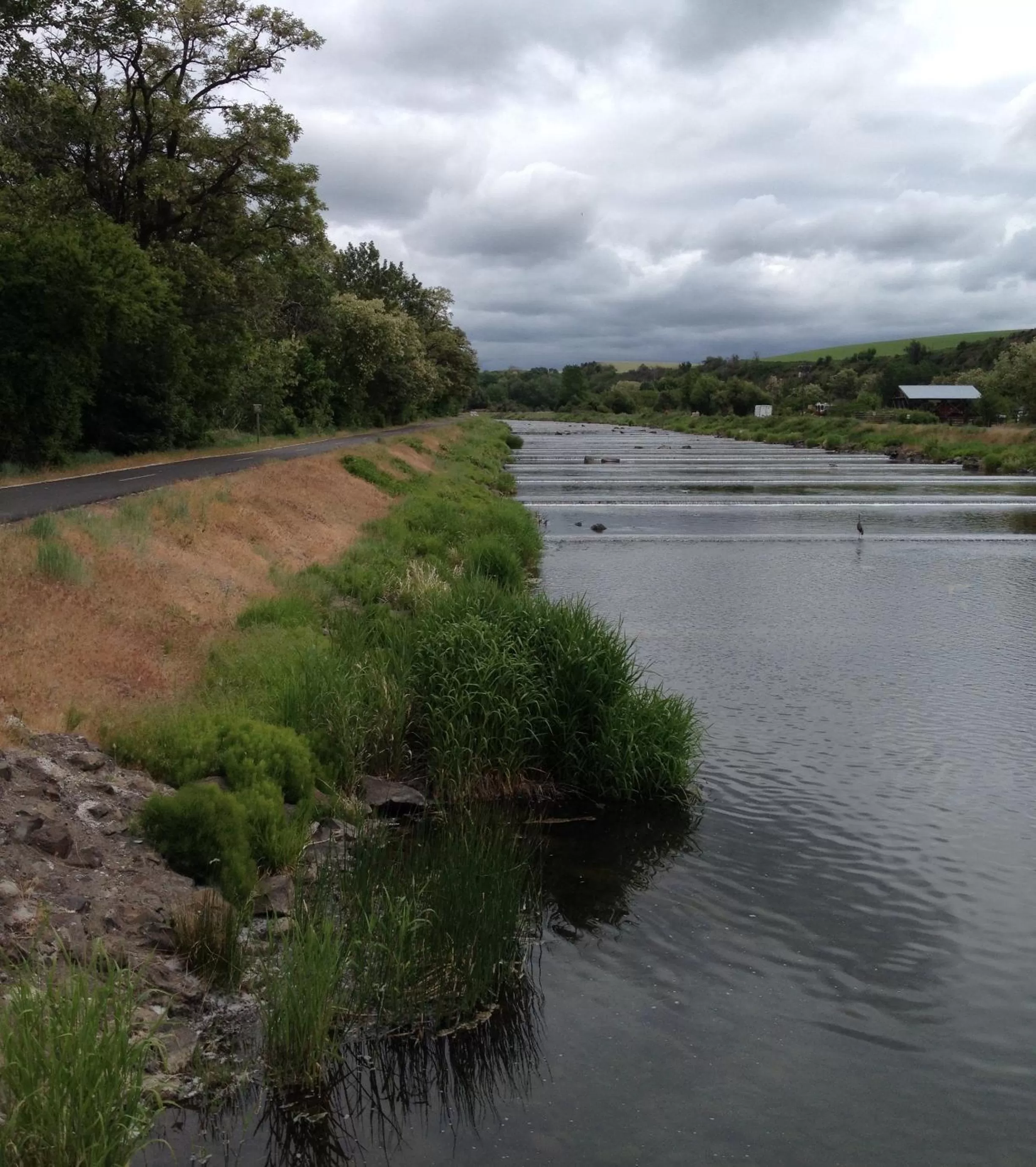 Hiking in Walla Walla Garden Motel
