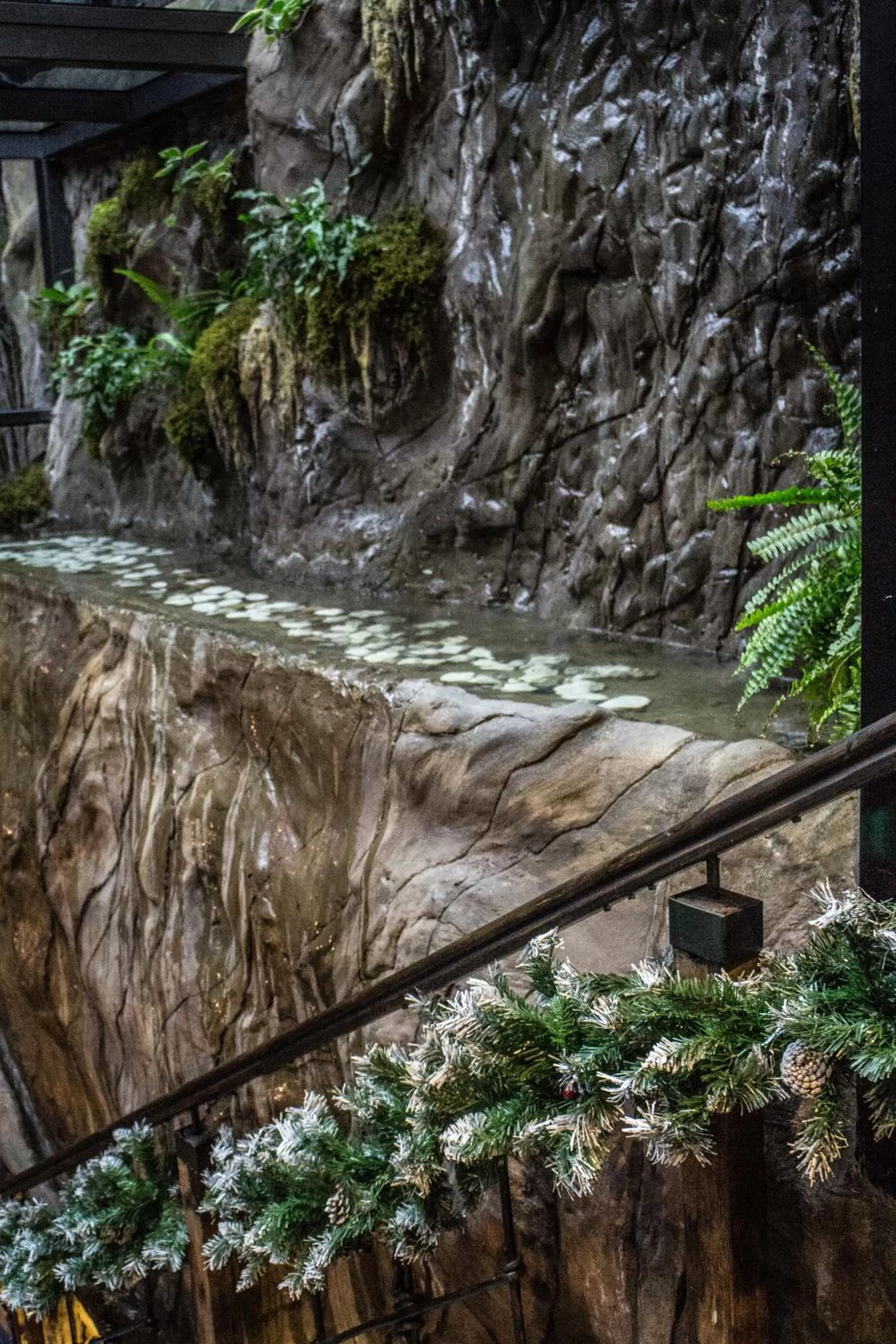 Natural landscape in BG Palace Hotel