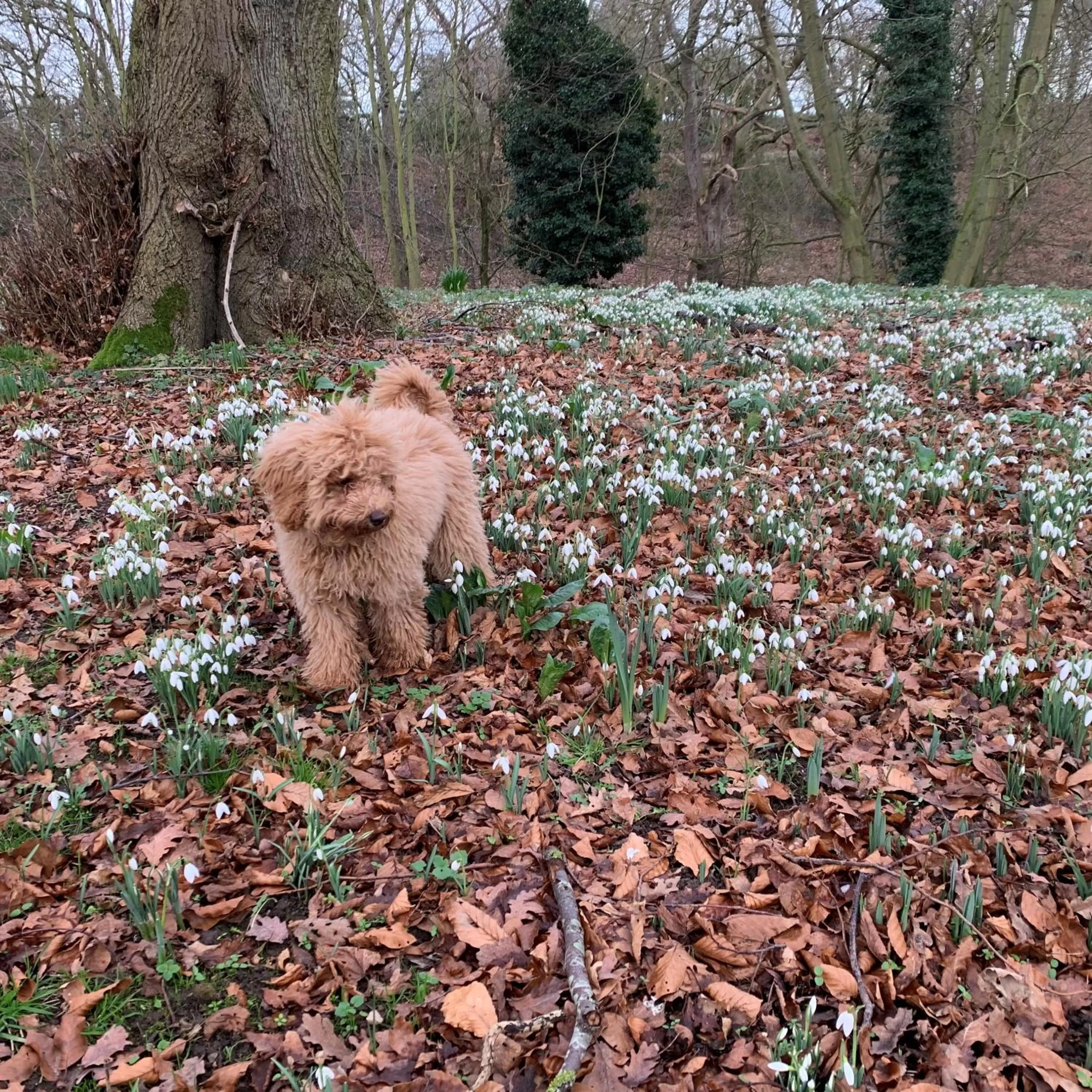 Scarborough Hill Country Inn