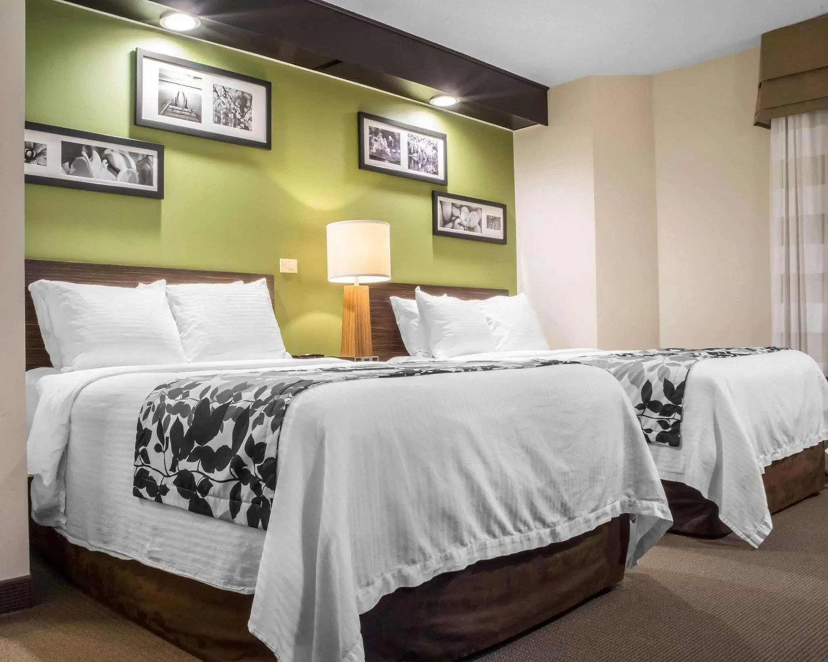 Double Room with Two Double Beds in Sleep Inn Muskoka Double Room with Two Double Beds in Sleep Inn Muskoka