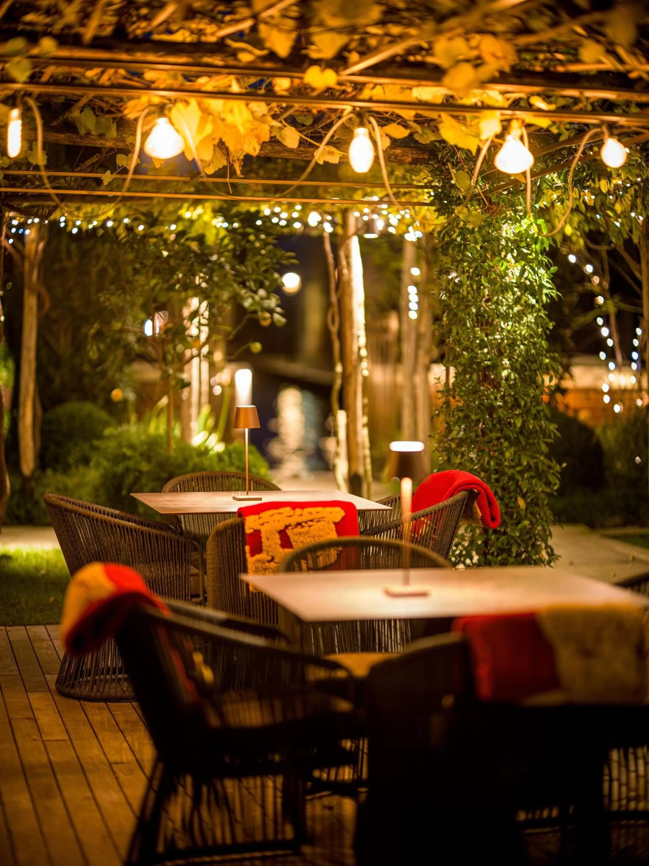 Garden in Madama Garden Retreat