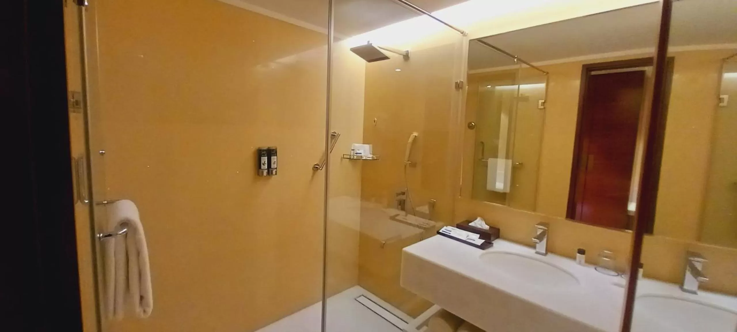 Shower, Bathroom in Manjeera Sarovar Premiere