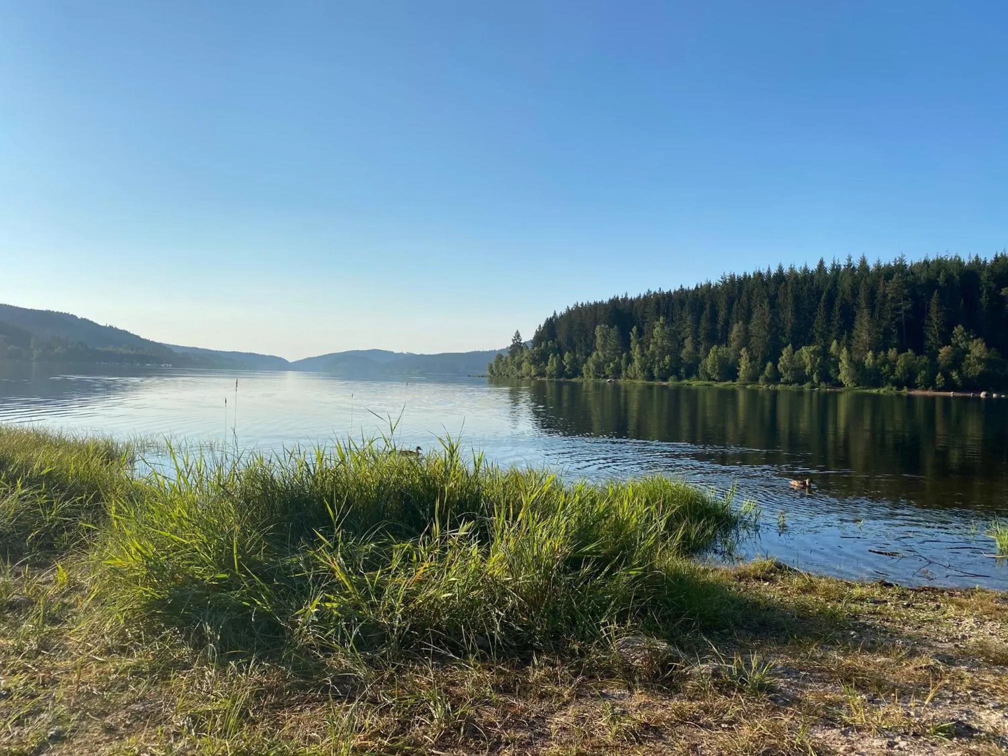 Nearby landmark in Sporthostel Rössle