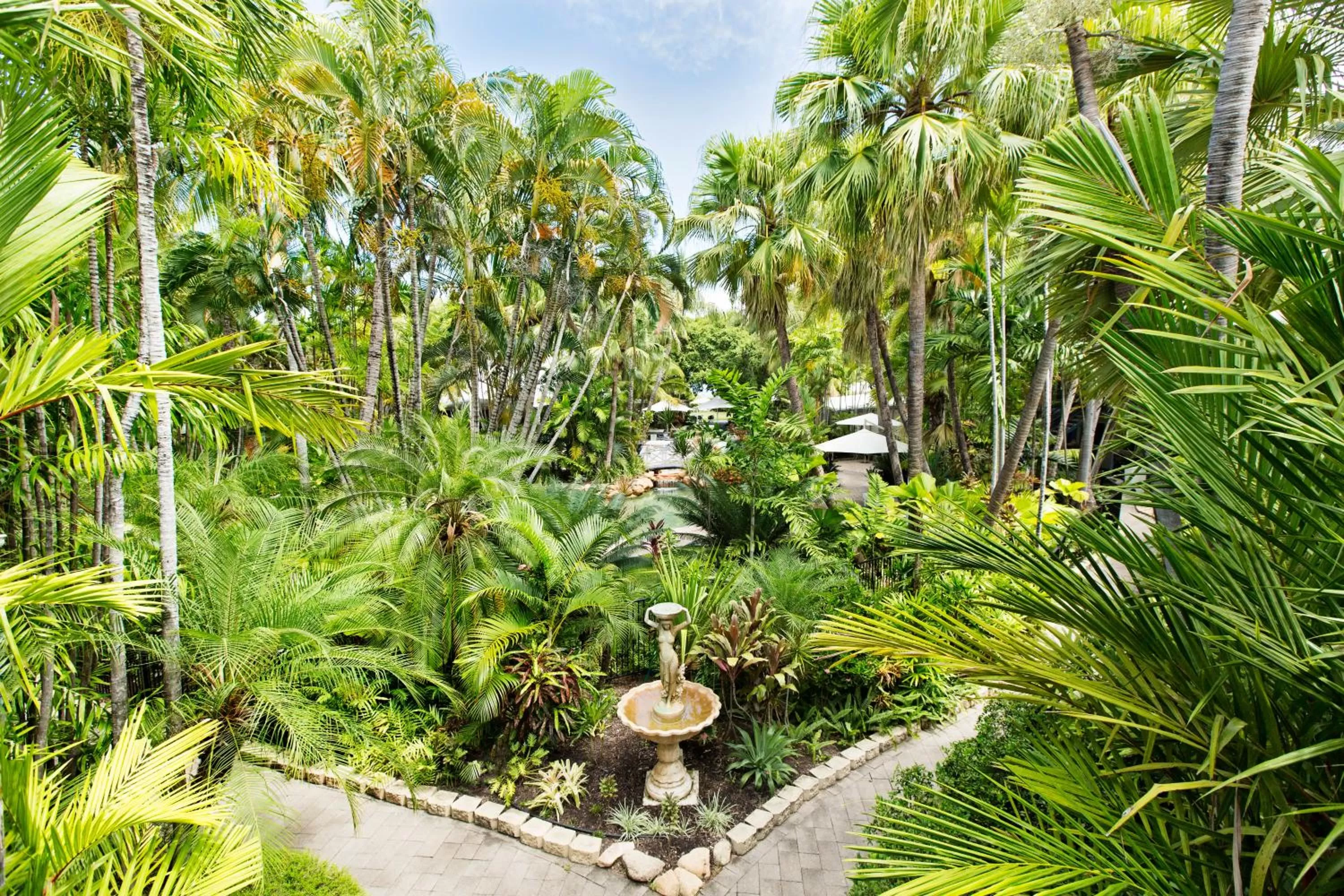 Bird's eye view, Garden in Seagulls