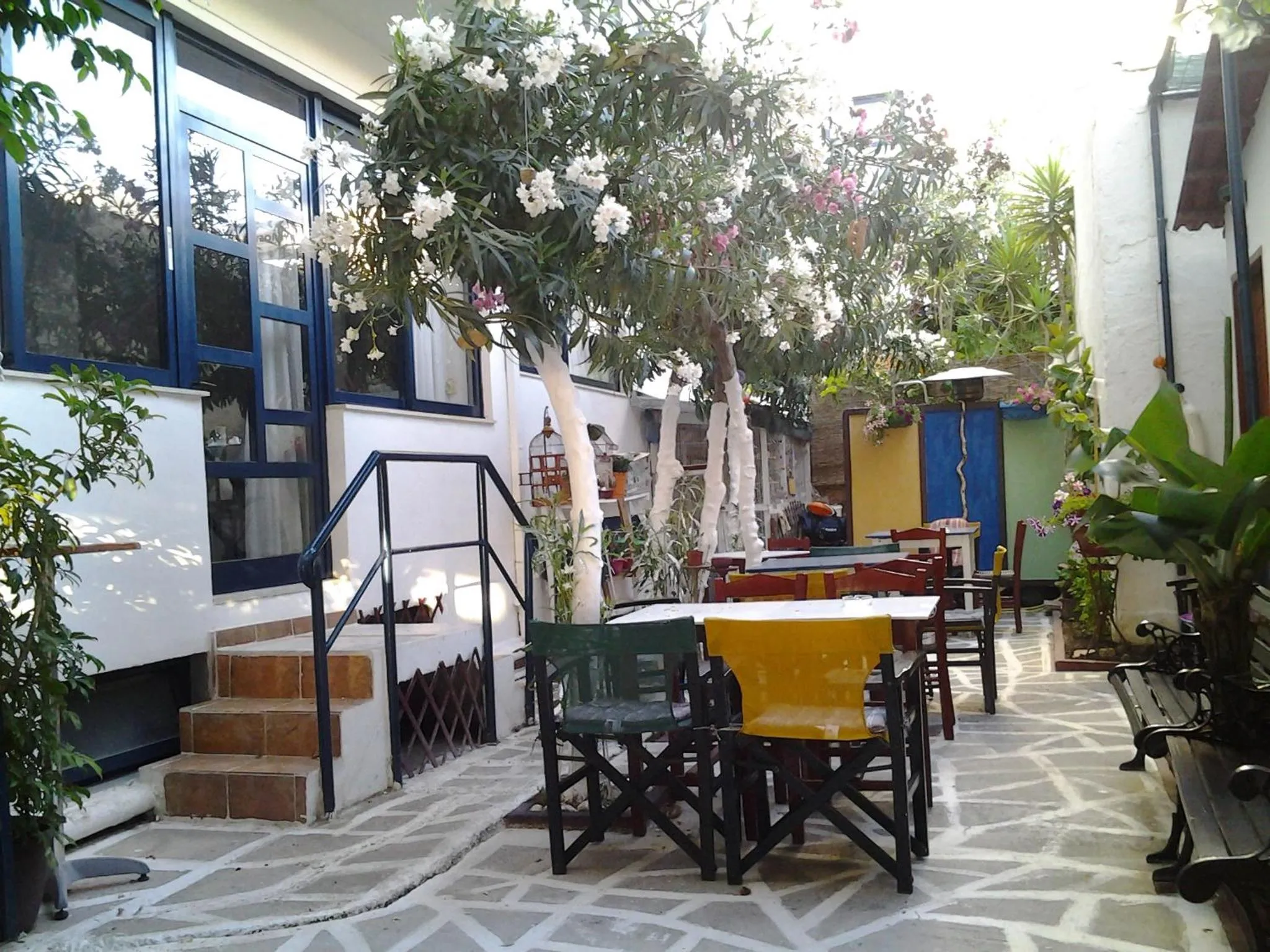 Garden in Danaos Hotel