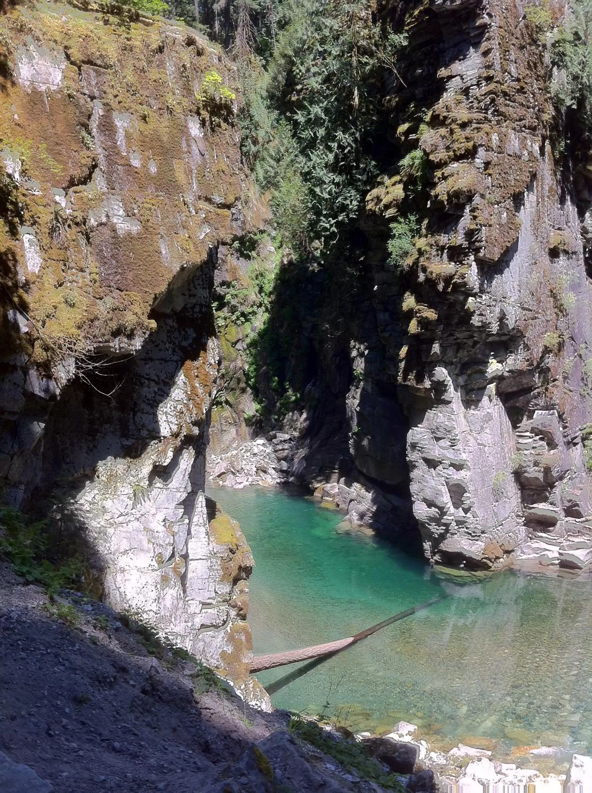 Off site in Evergreen Bed & Breakfast