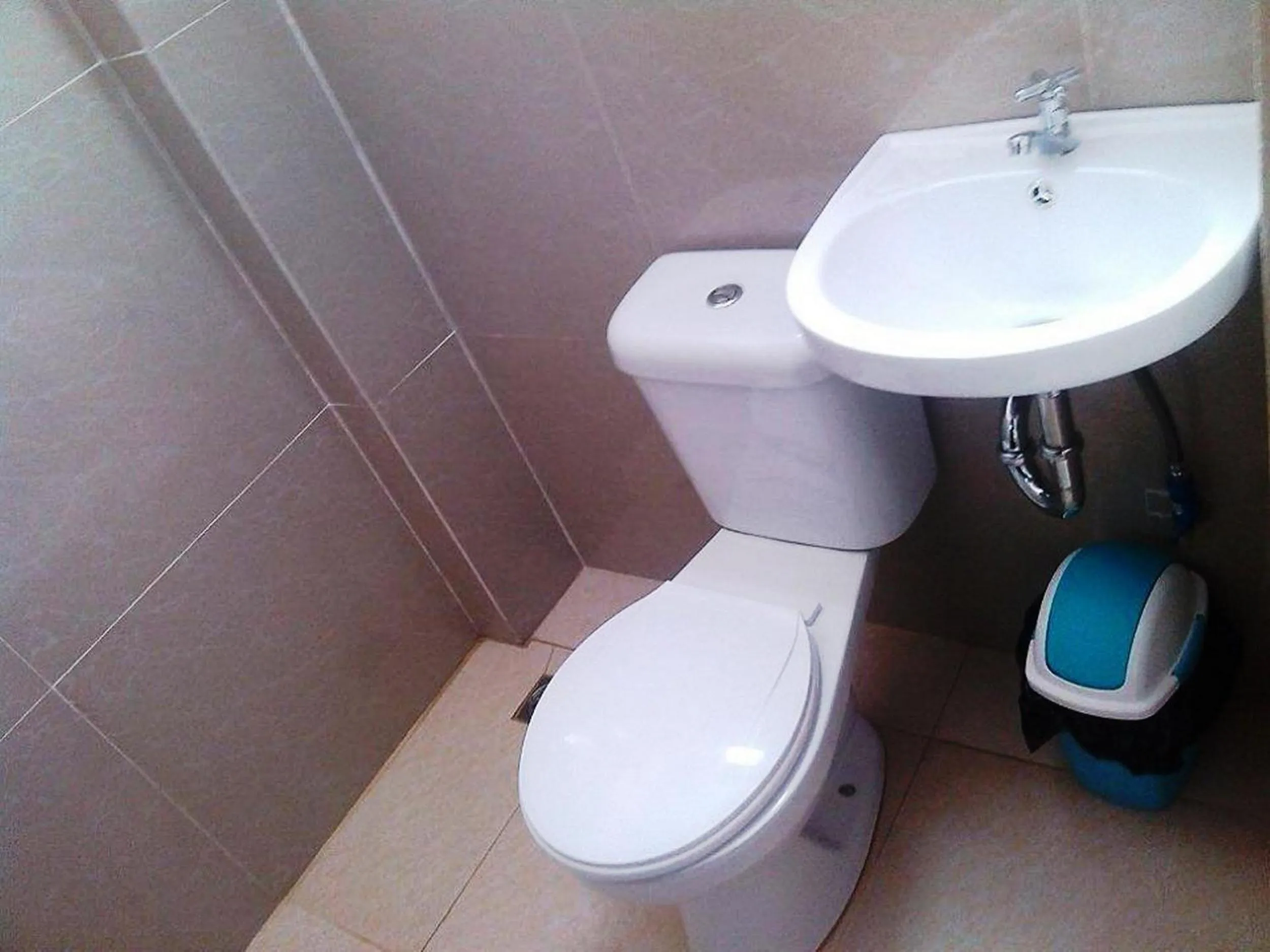Toilet in Ashok Homestay