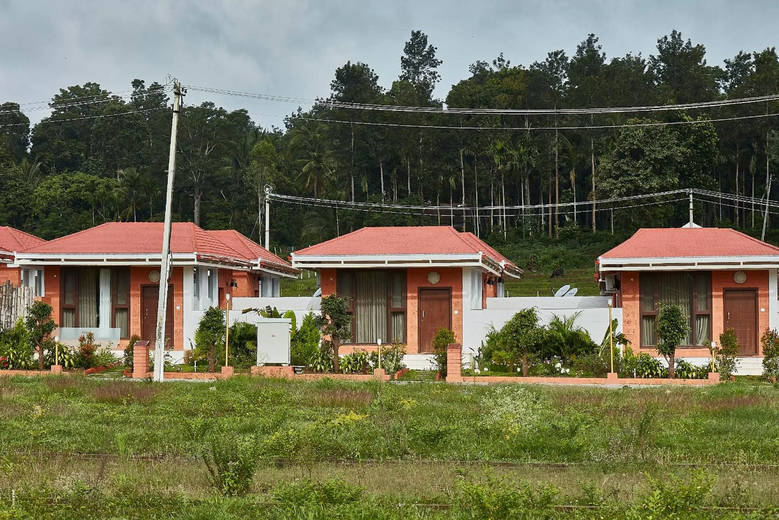 Garden view in Sixth Element
