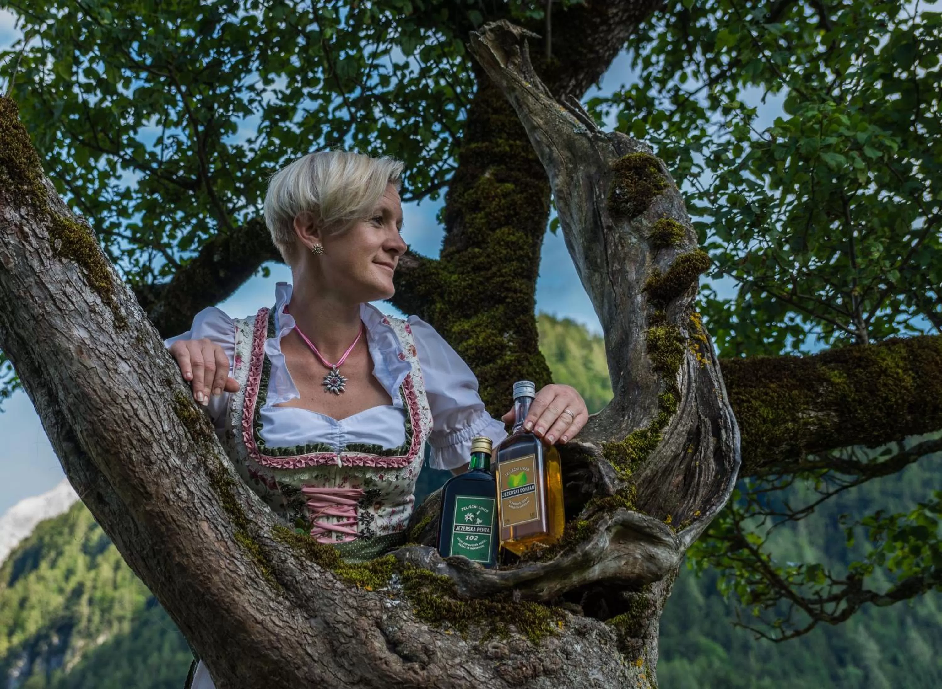 Cvet gora - Camping, Glamping and Accomodations