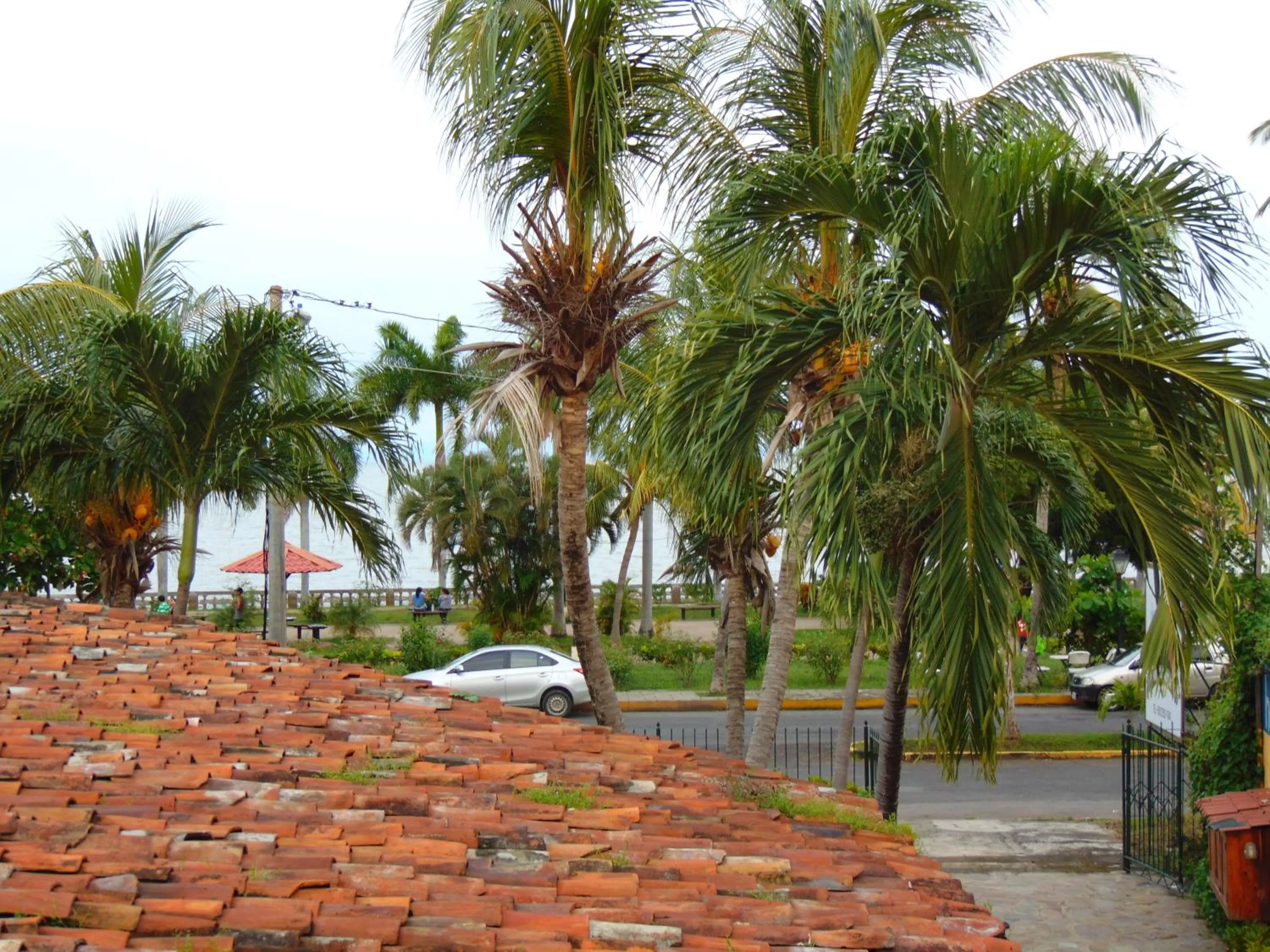 Beach in Hotel El Maltese