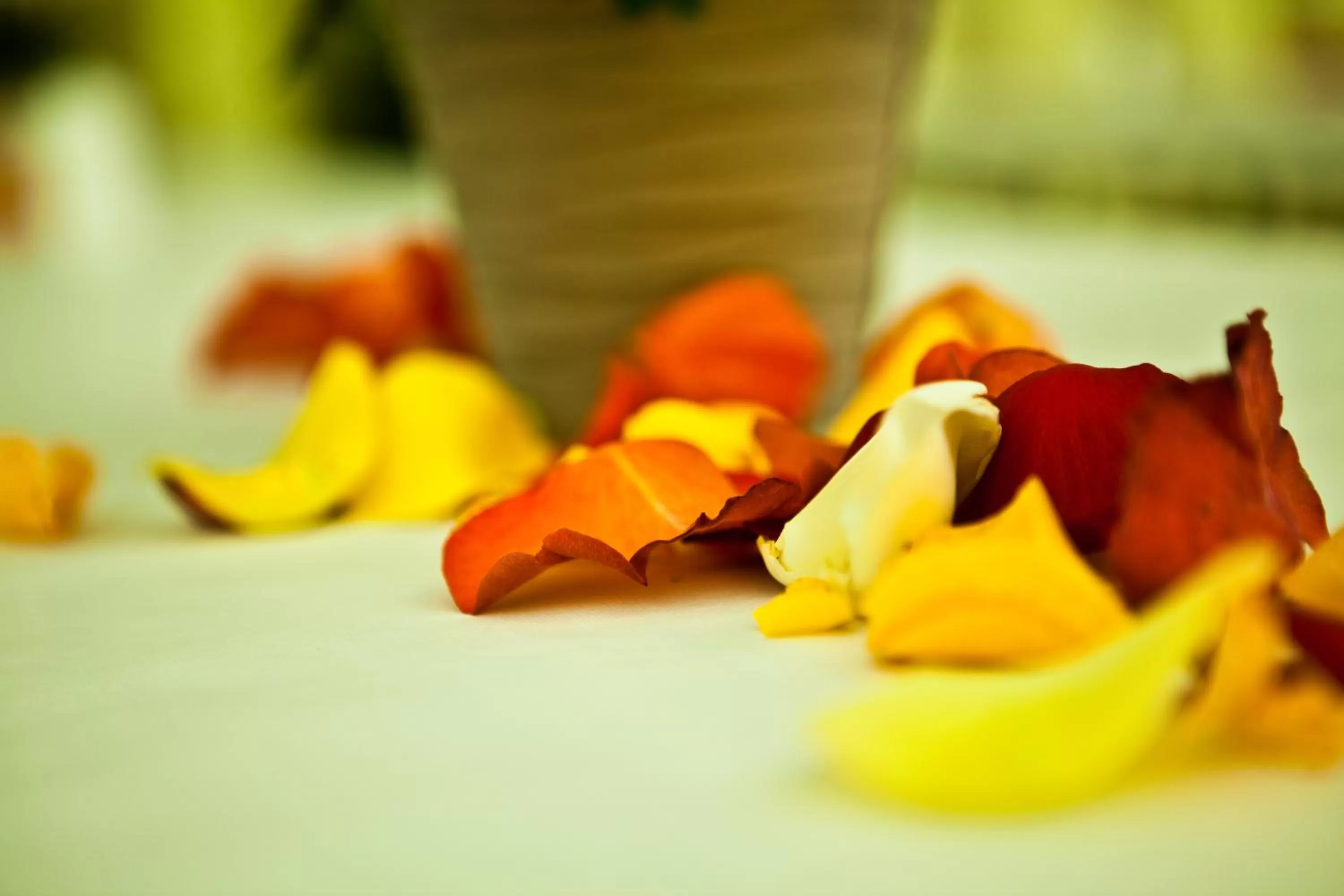 Other in Q.C.M. Campus