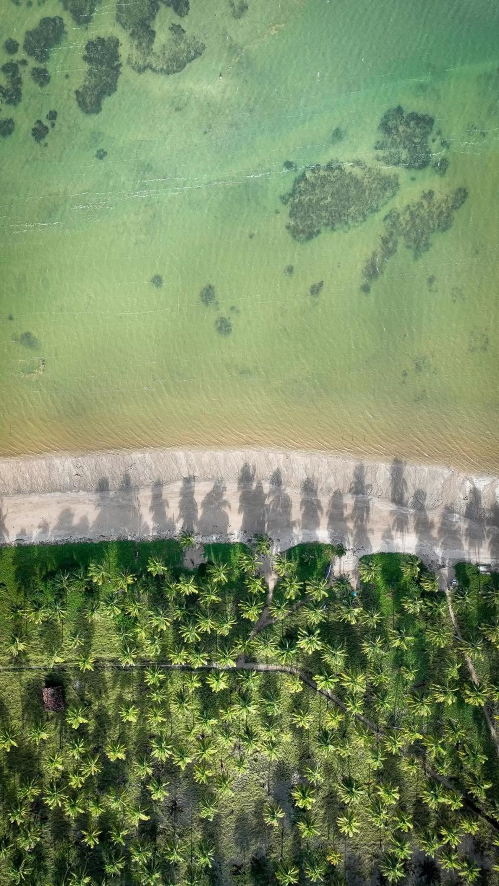 Beach, Bird's-eye View in Villa Canziani & Donato