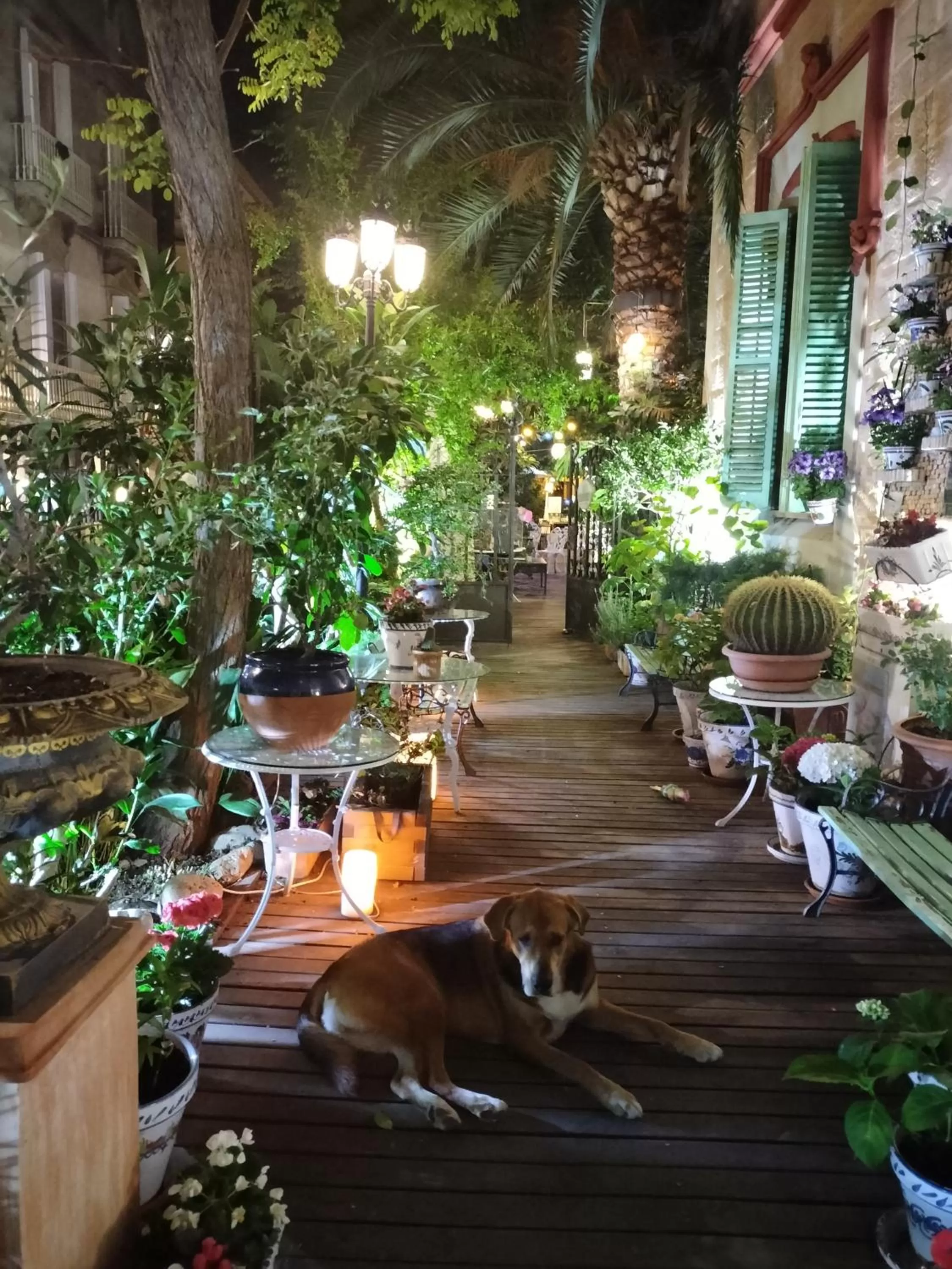 Property building in Sitges Royal Rooms