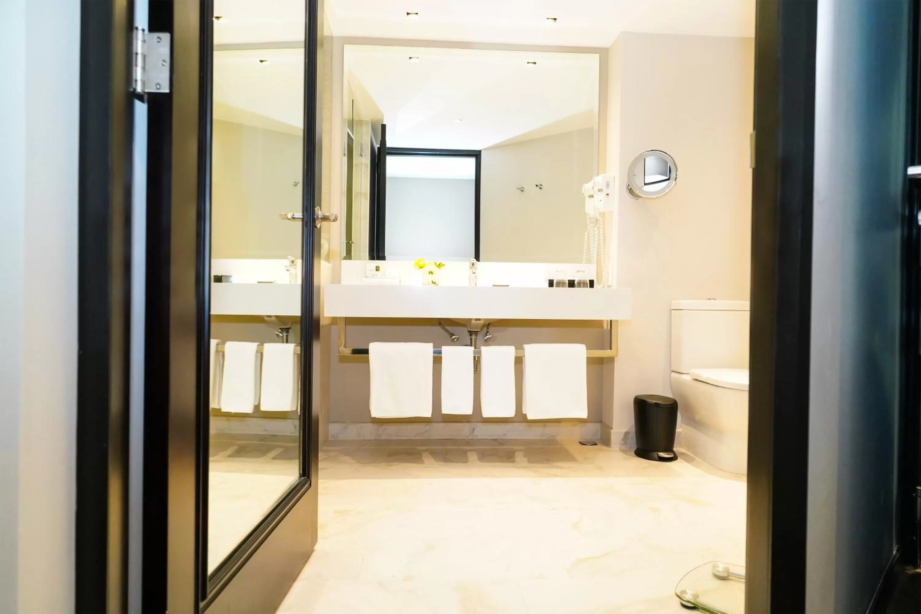 Toilet in Barceló Mexico Reforma