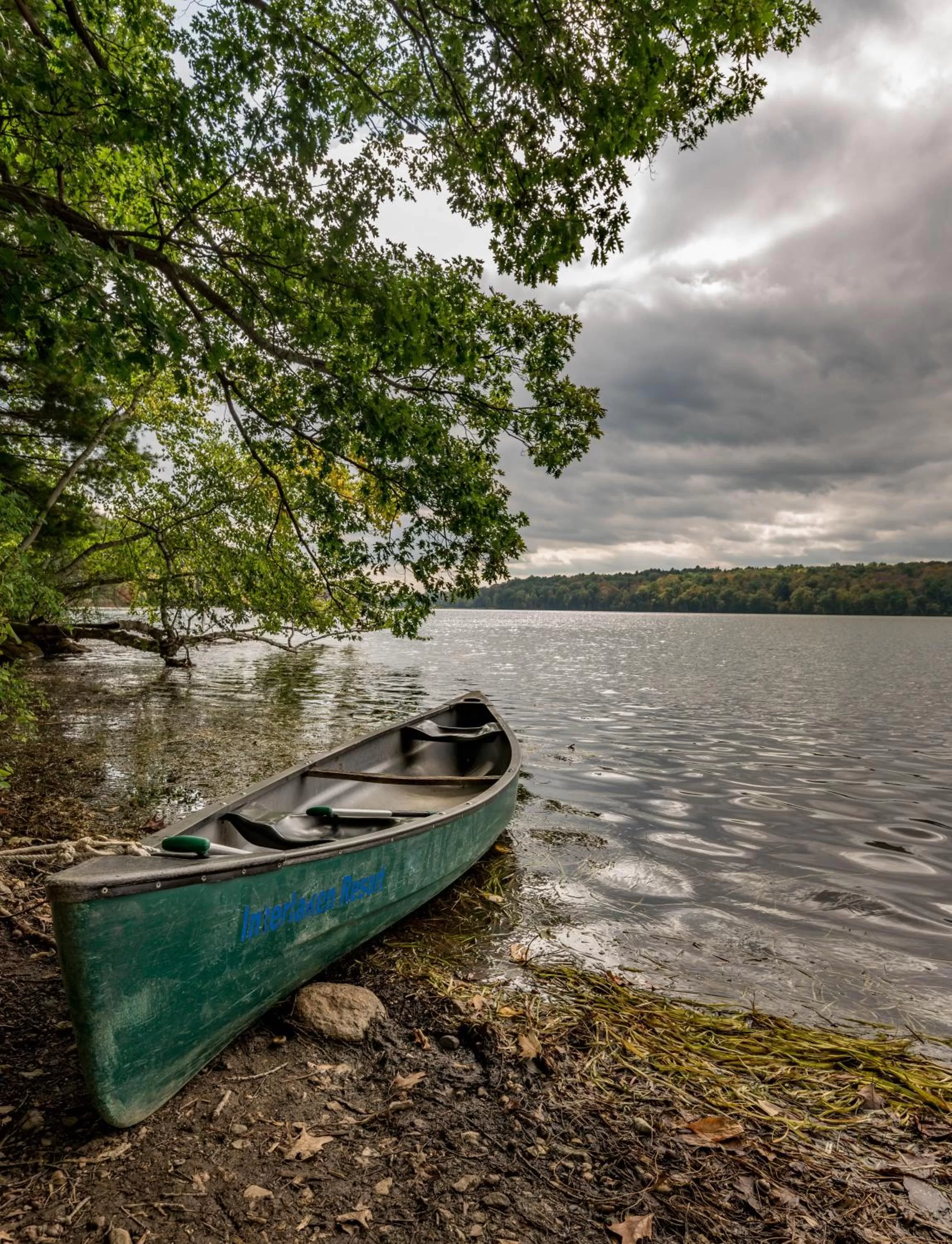 Beach in Interlaken Inn
