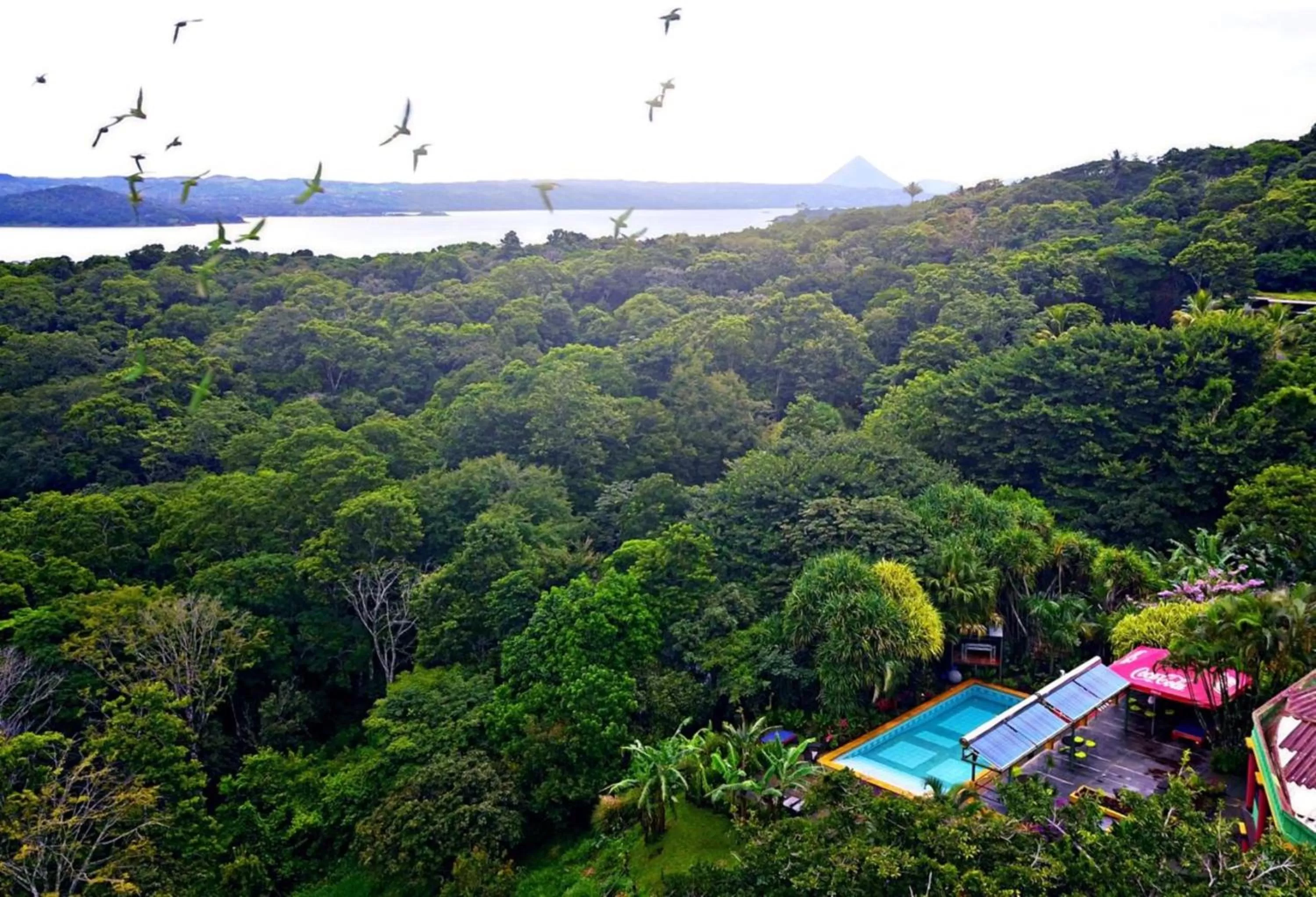 View (from property/room), Pool View in Lake Arenal Brewery & Hotel