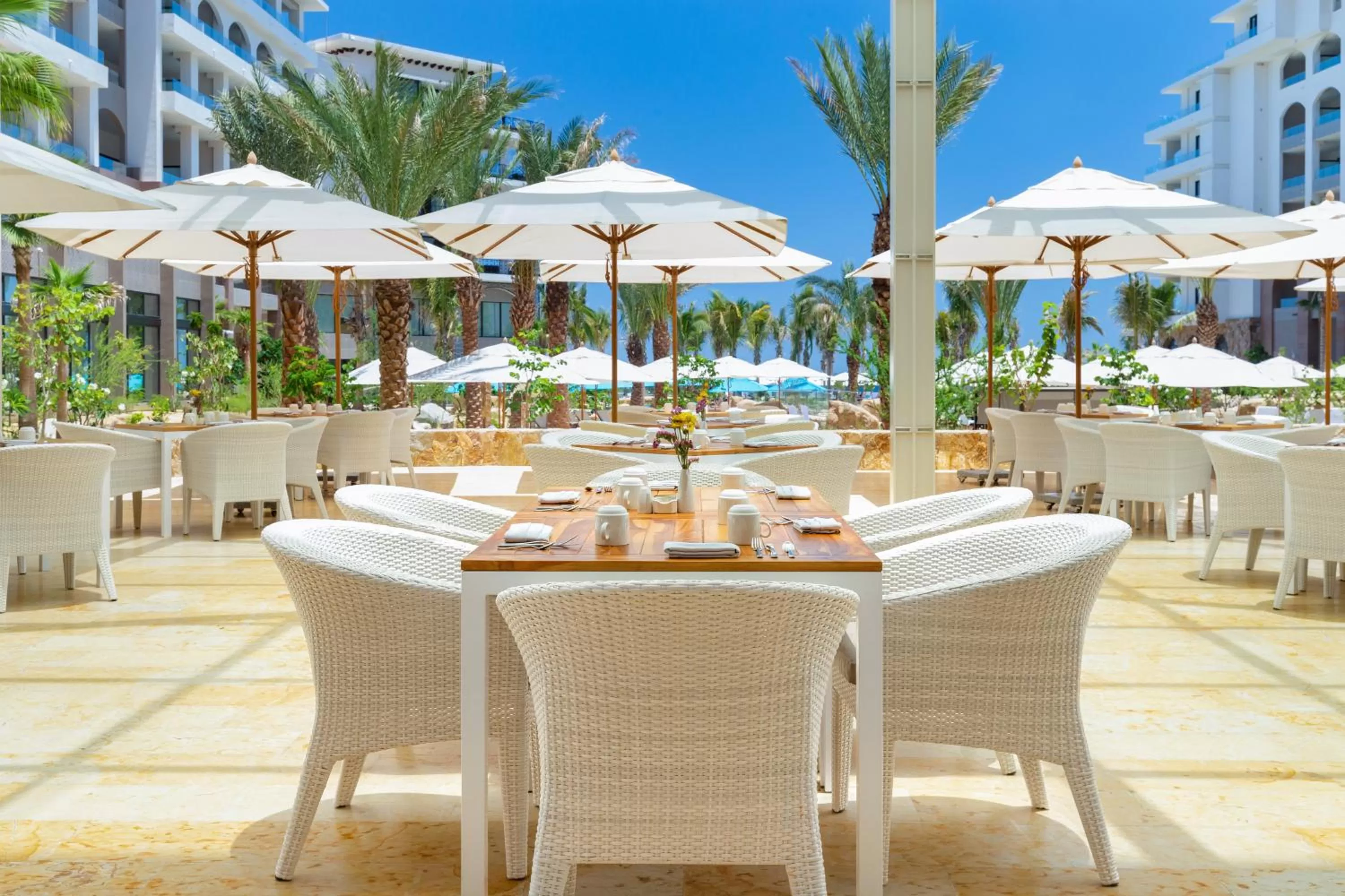 Restaurant/places to eat in Villa La Valencia Beach Resort & Spa Los Cabos