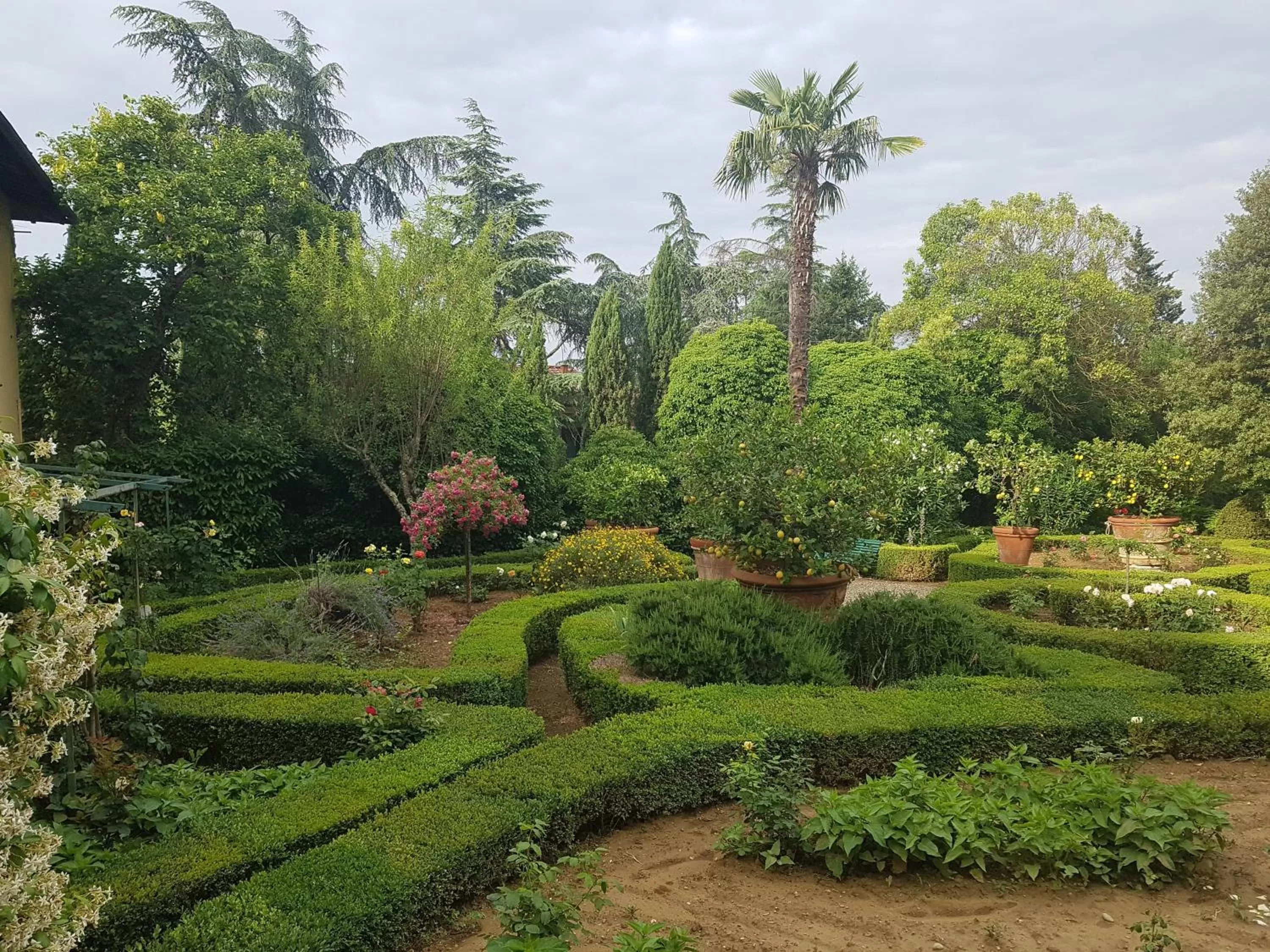 Garden in Villa Scacciapensieri Boutique Hotel