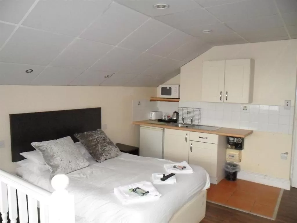 Deluxe Apartment in The waterfront hotel