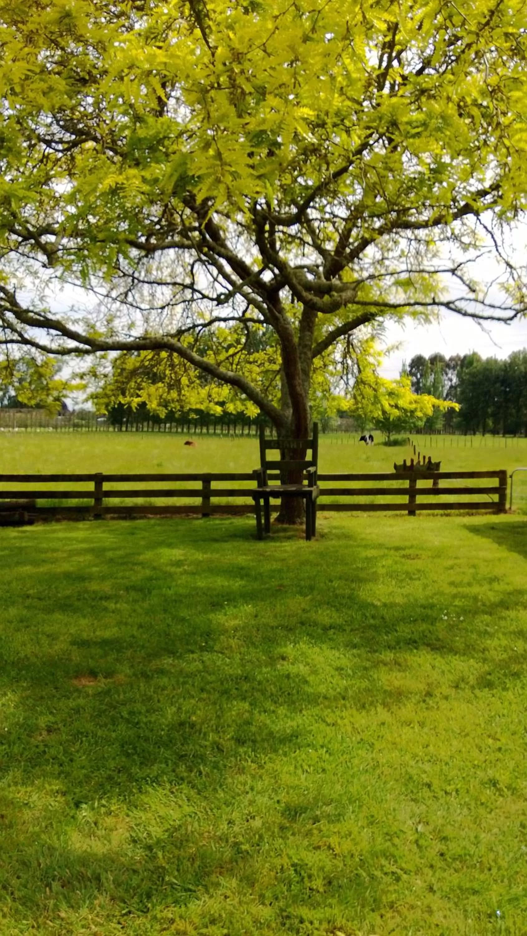 Garden in Korbaylen Estate