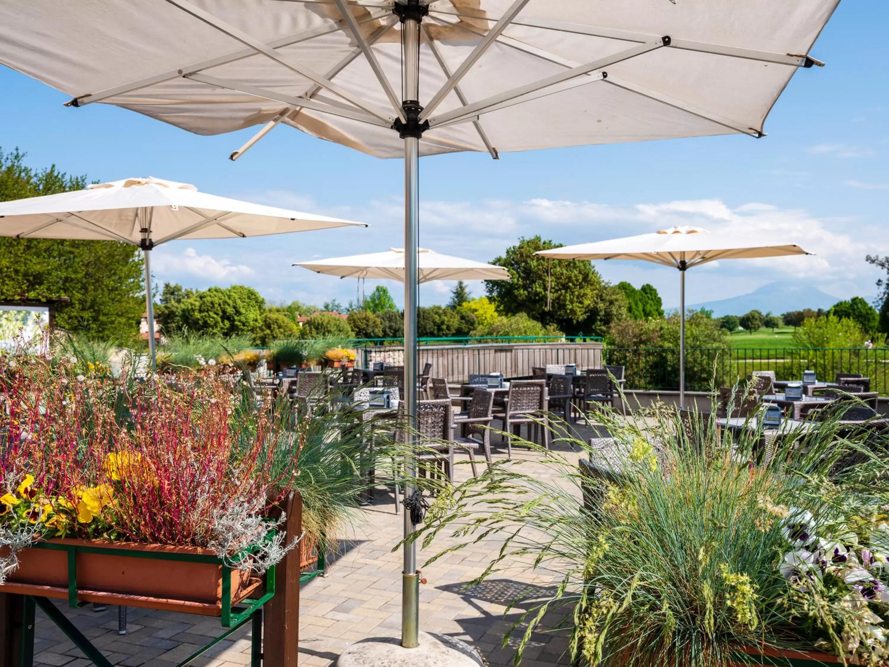 Restaurant/places to eat in Active Hotel Paradiso