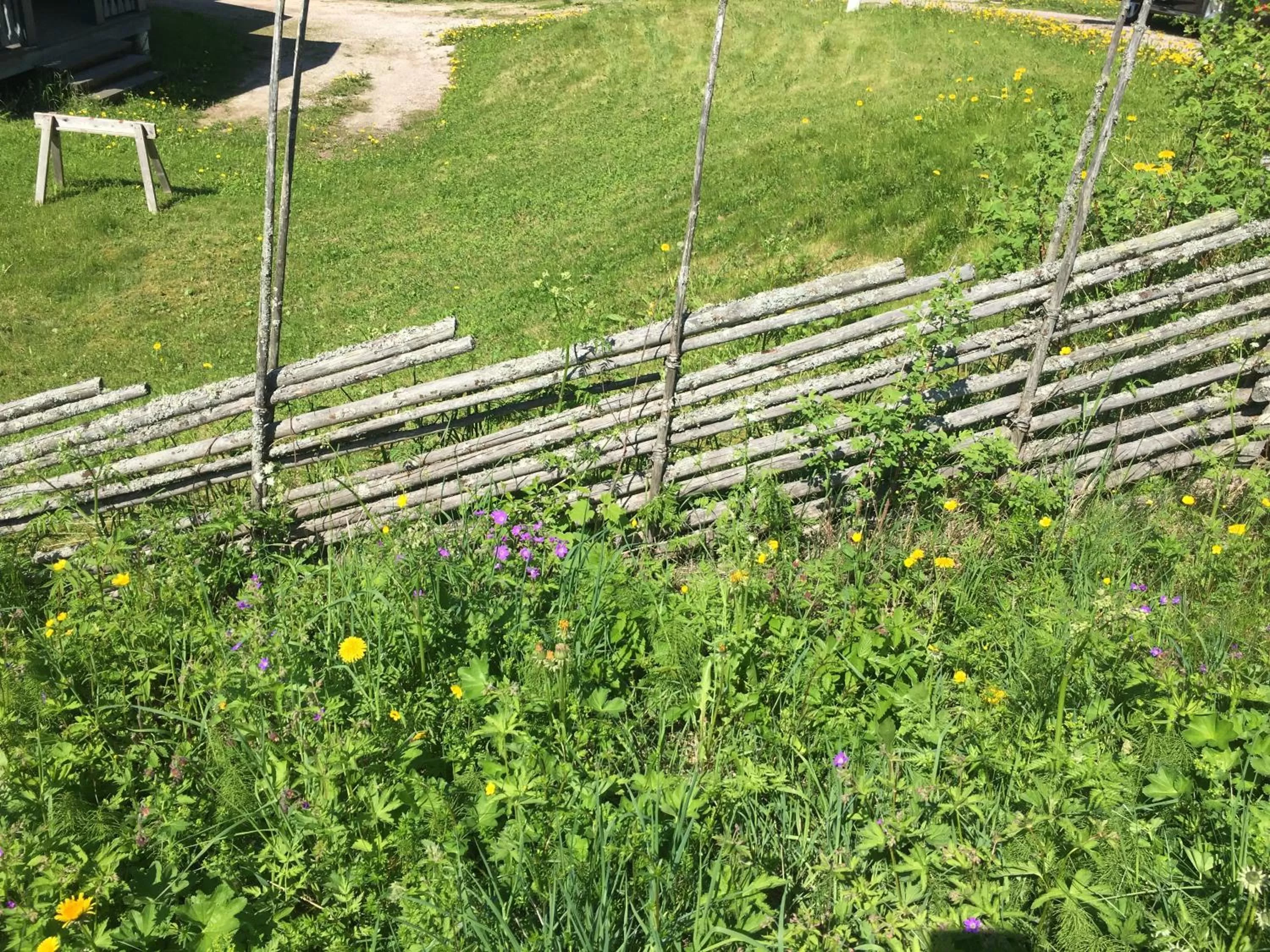 On site in Augustas Bed & Breakfast