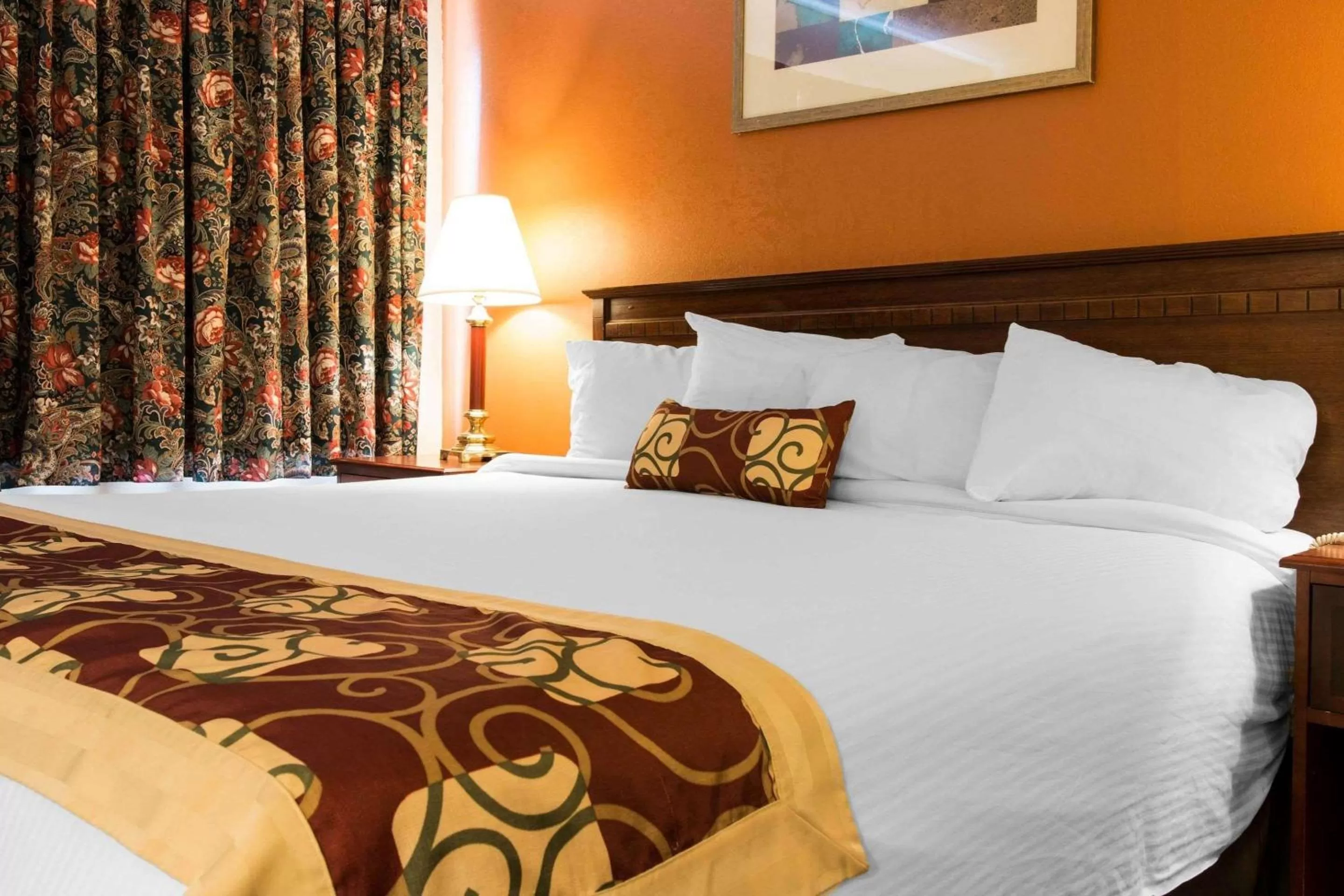 Photo of the whole room, Bed in Rodeway Inn Muskegon Airport