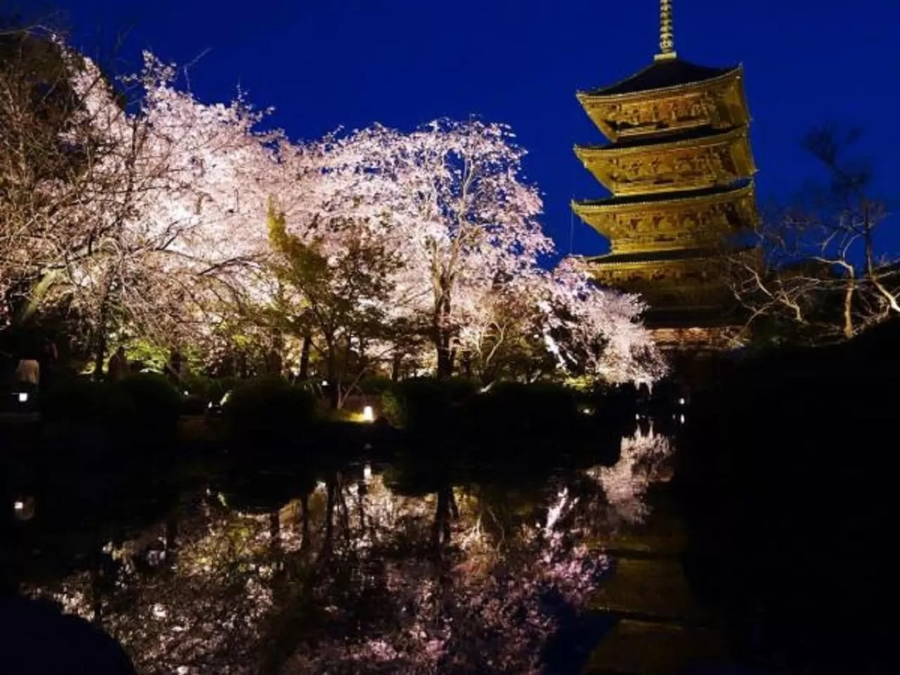 Spring in APA Hotel Kyoto Ekimae Chuoguchi