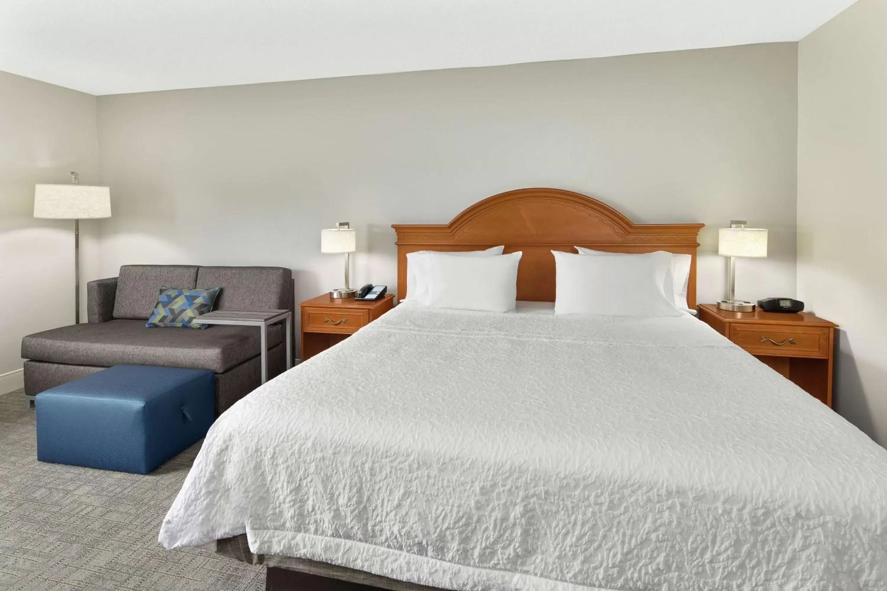 King Room with King Bed - Non-Smoking in Hampton Inn Atlanta-Newnan King Room with King Bed - Non-Smoking in Hampton Inn Atlanta-Newnan