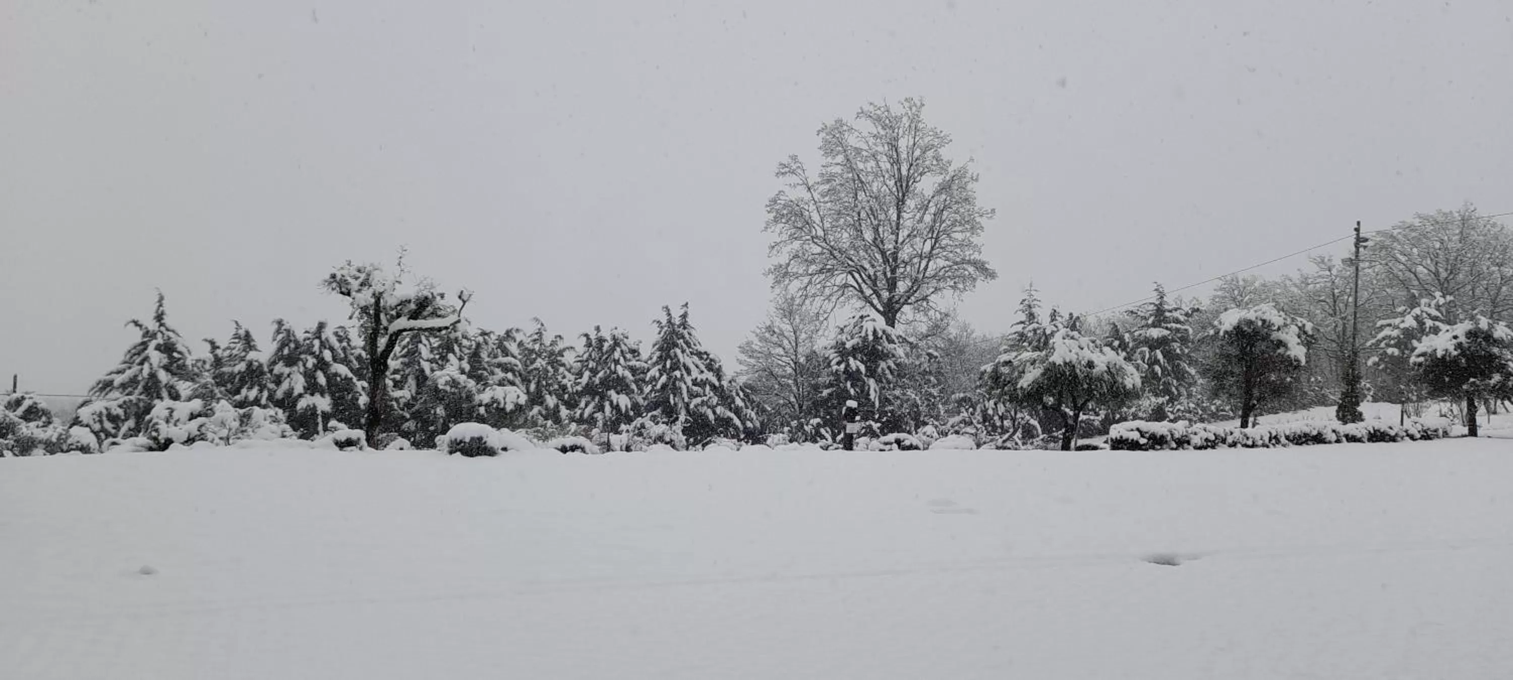 Masseria boutique b&b