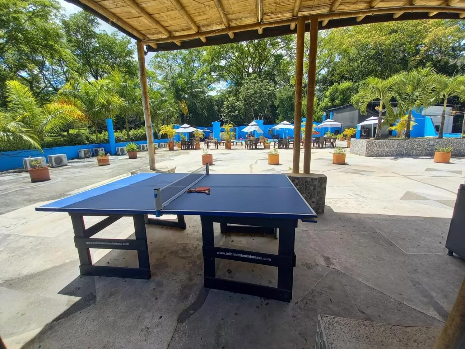 Table Tennis in Hotel Miami Beach