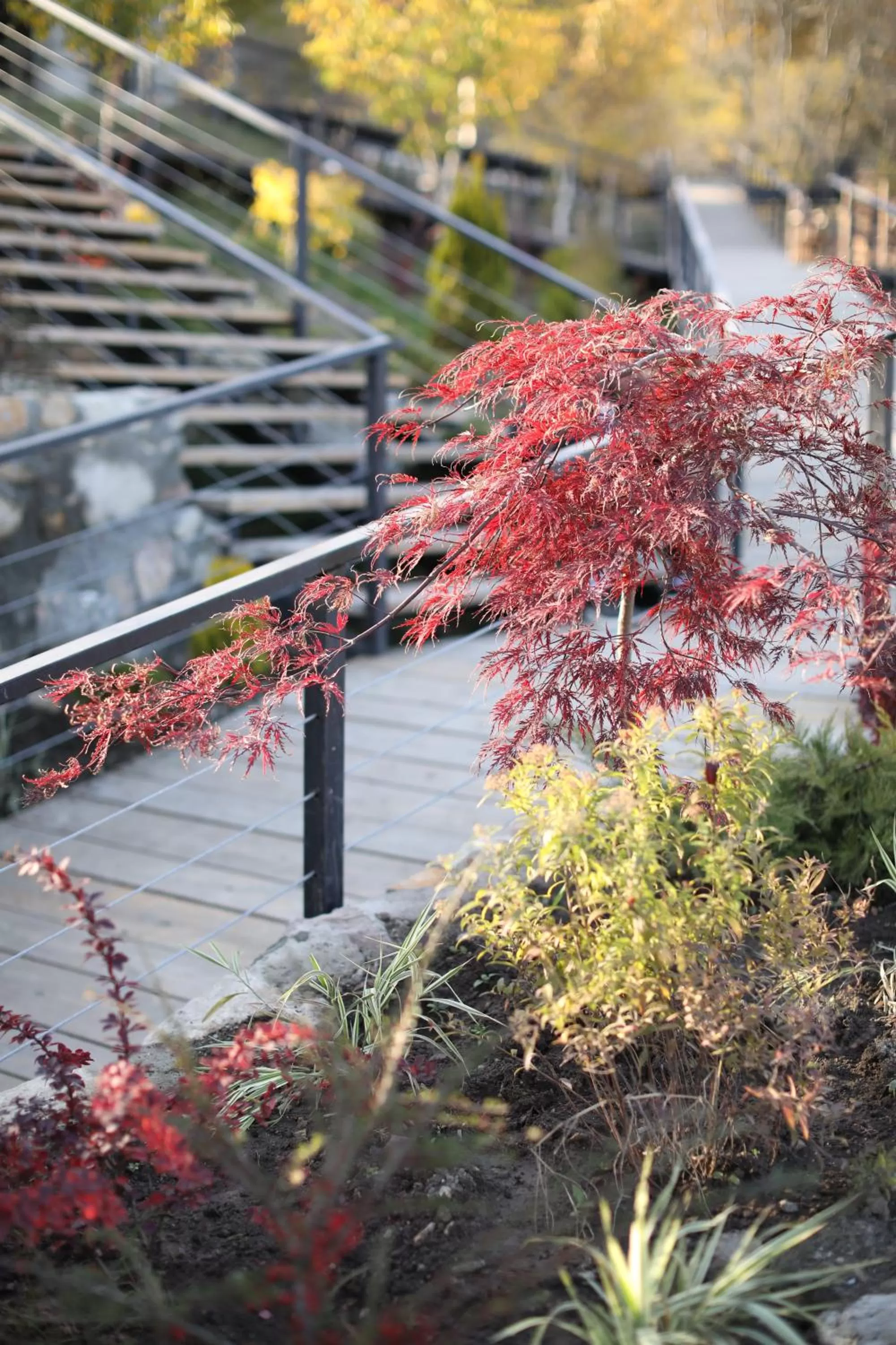 Garden in Apaga Resort