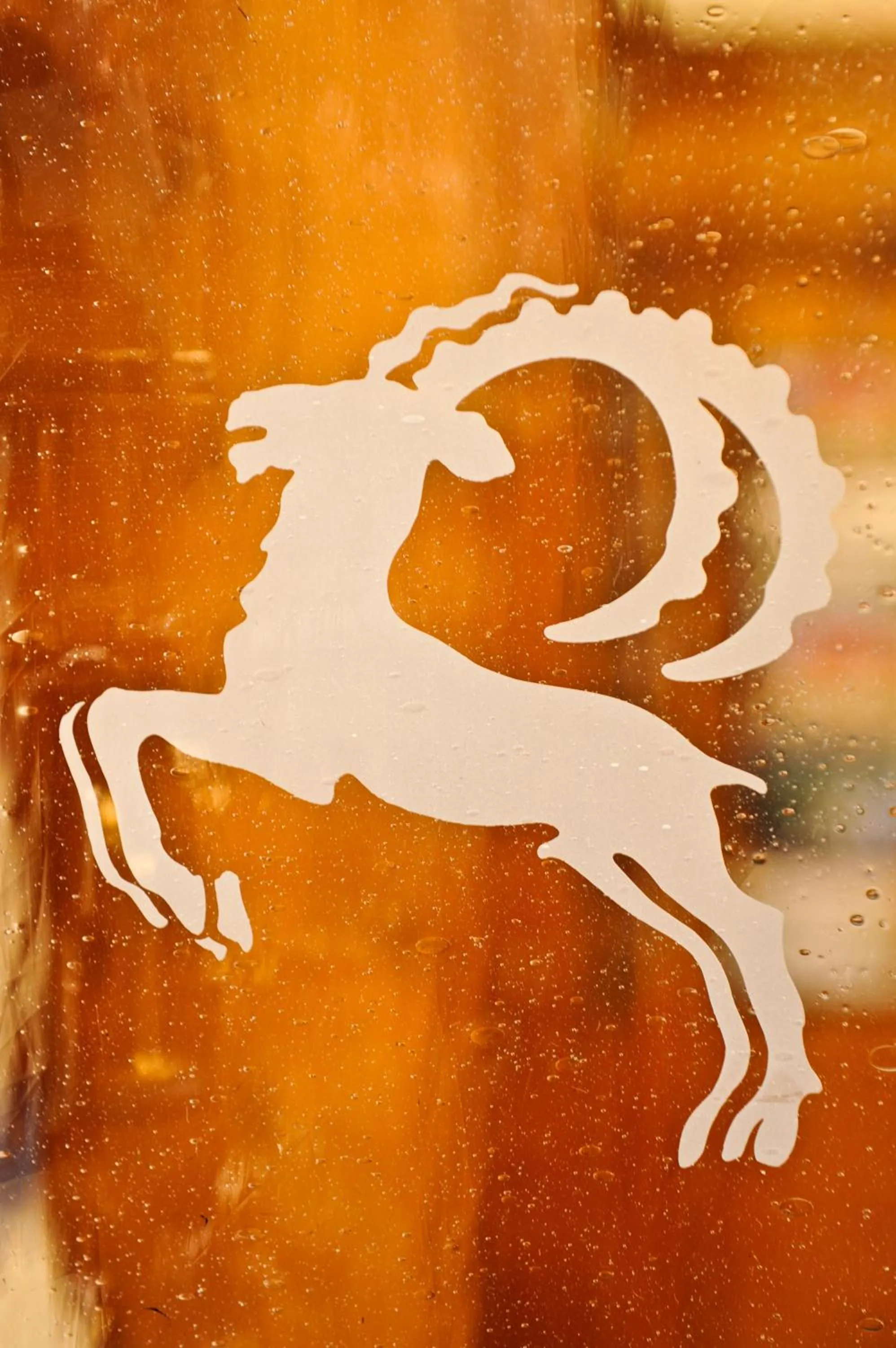 Decorative detail in Hotel Blauer Bock