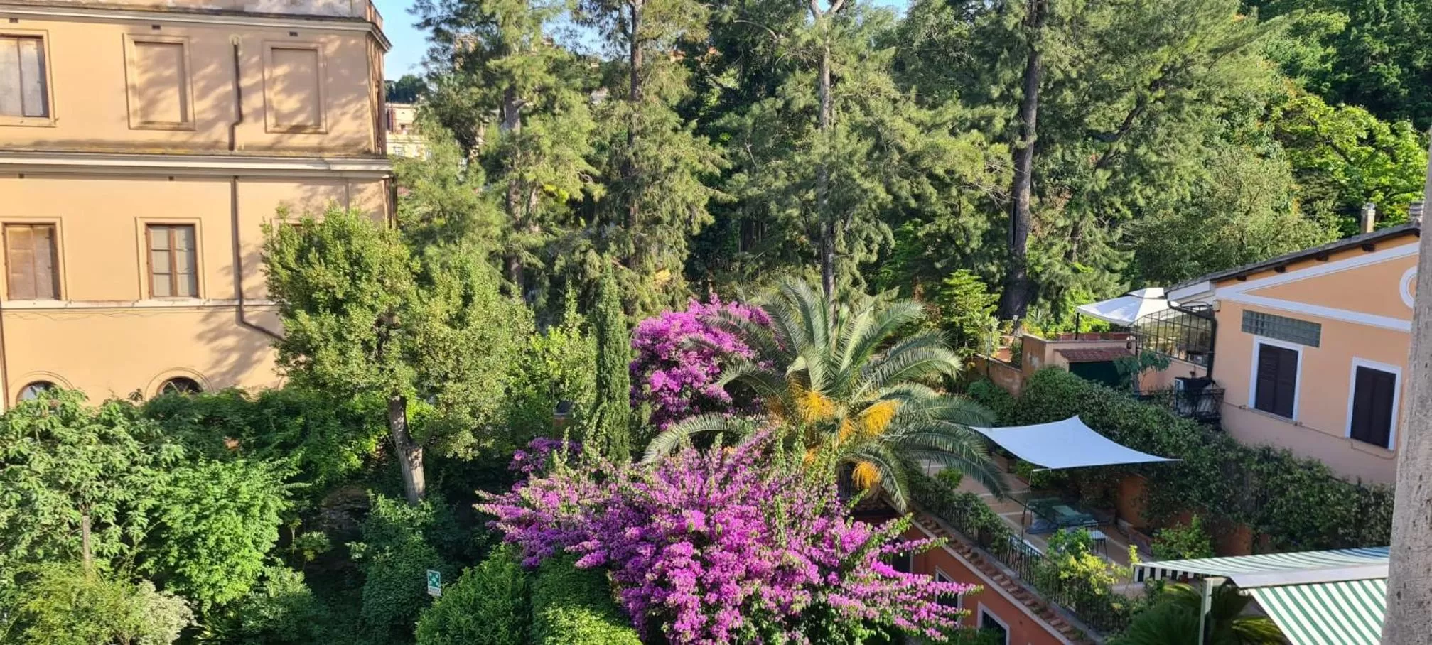 Bird's eye view in Villa Riari Garden