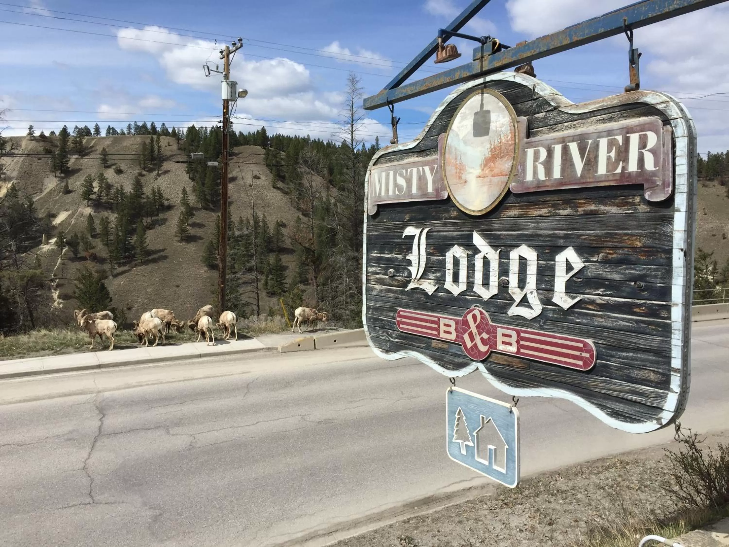 Property logo or sign in Misty River Lodge