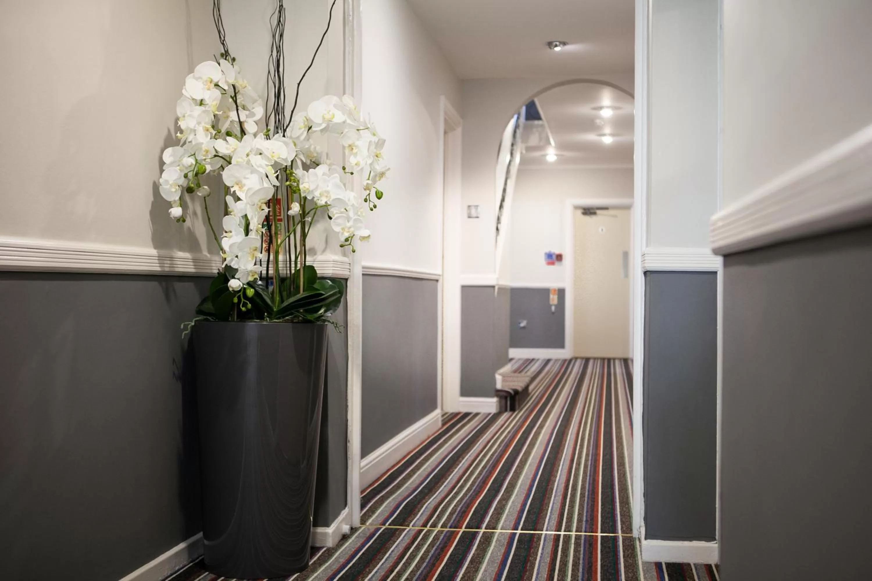 Decorative detail in Celtic International Hotel