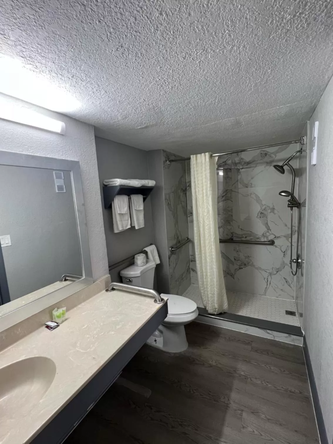 Shower in Rodeway Inn New Port Richey