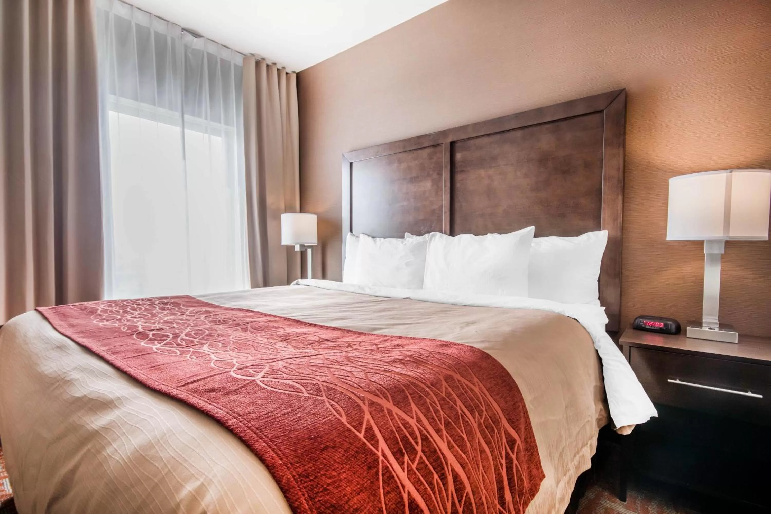 Standard King Room - Non-Smoking  in Comfort Inn & Suites Merritt