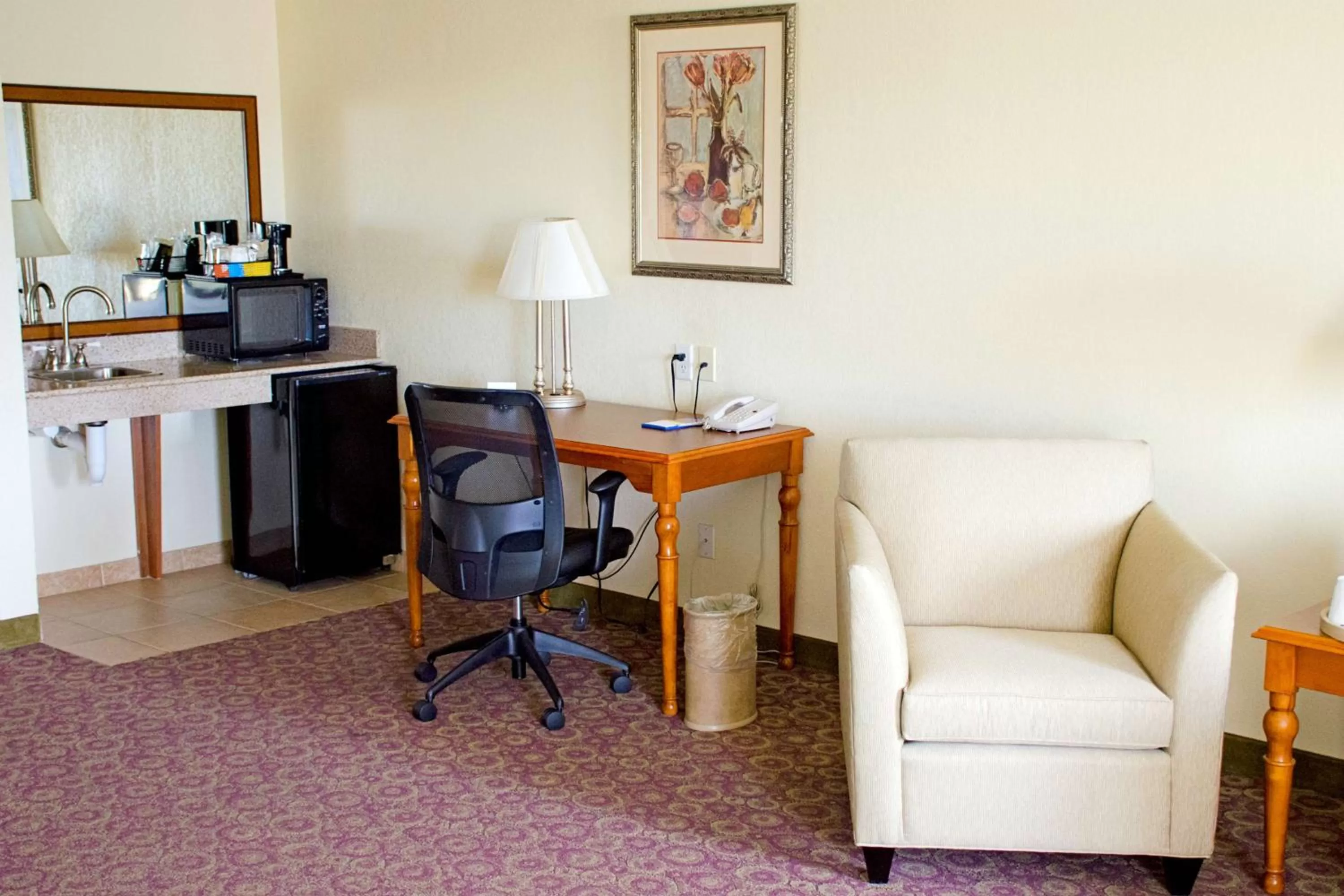 Kitchen or kitchenette in Hampton Inn & Suites College Station