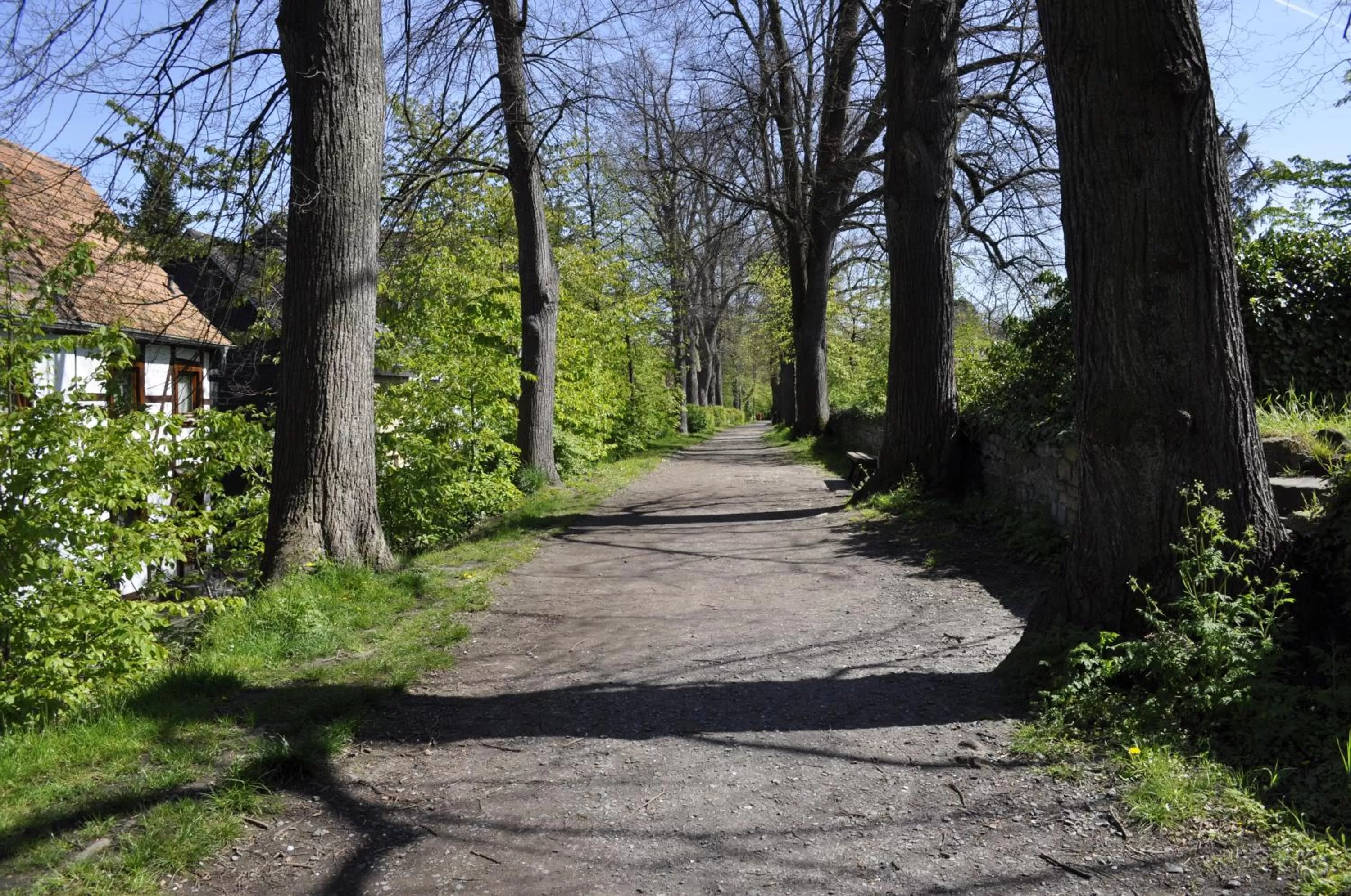 Garden view in Hotel am Wall