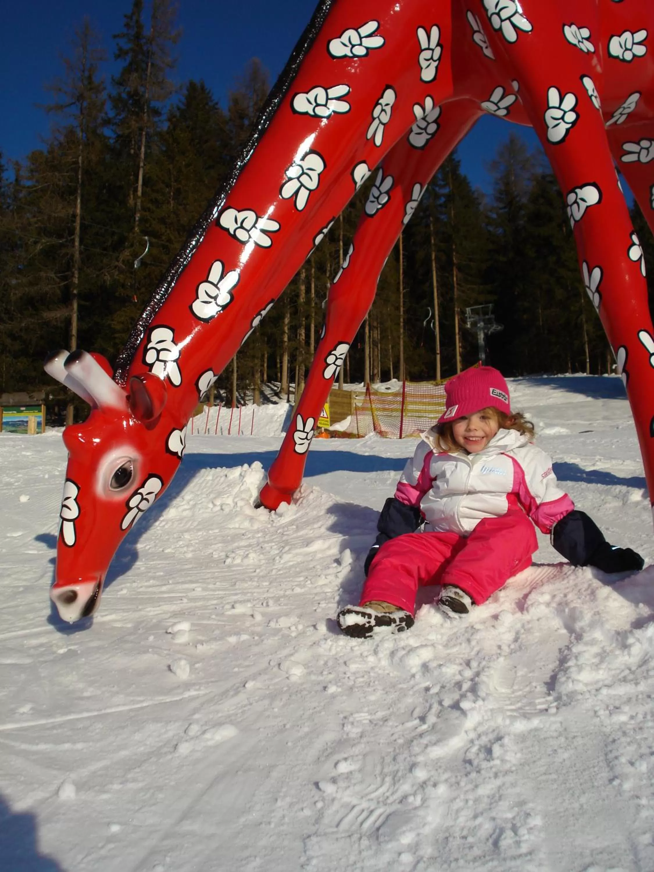 Skiing in Apparthotel Restaurant Steiners